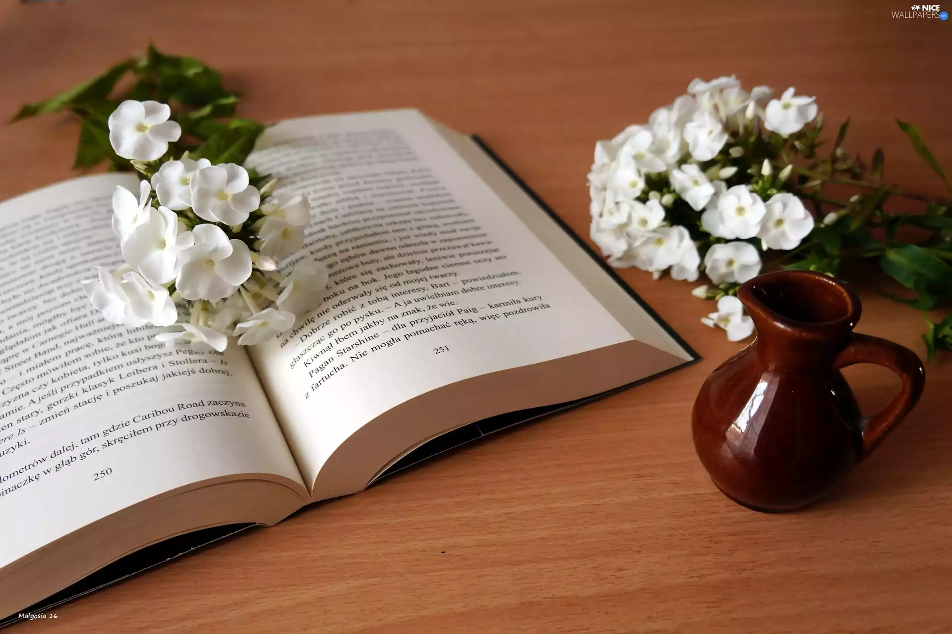 Book, phlox, jug, White