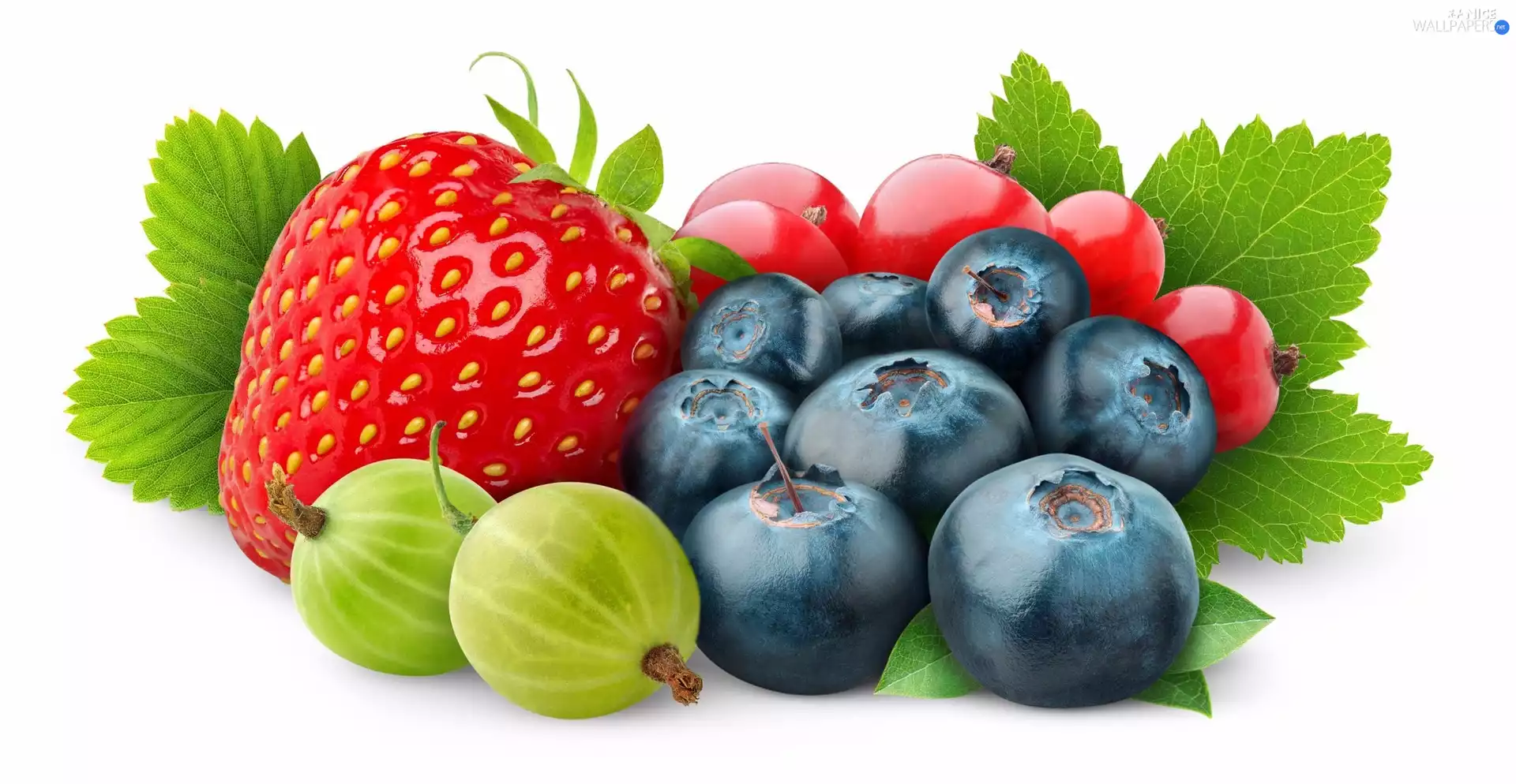 blueberries, Fruits, gooseberry, White Background, Strawberry, Redcurrant