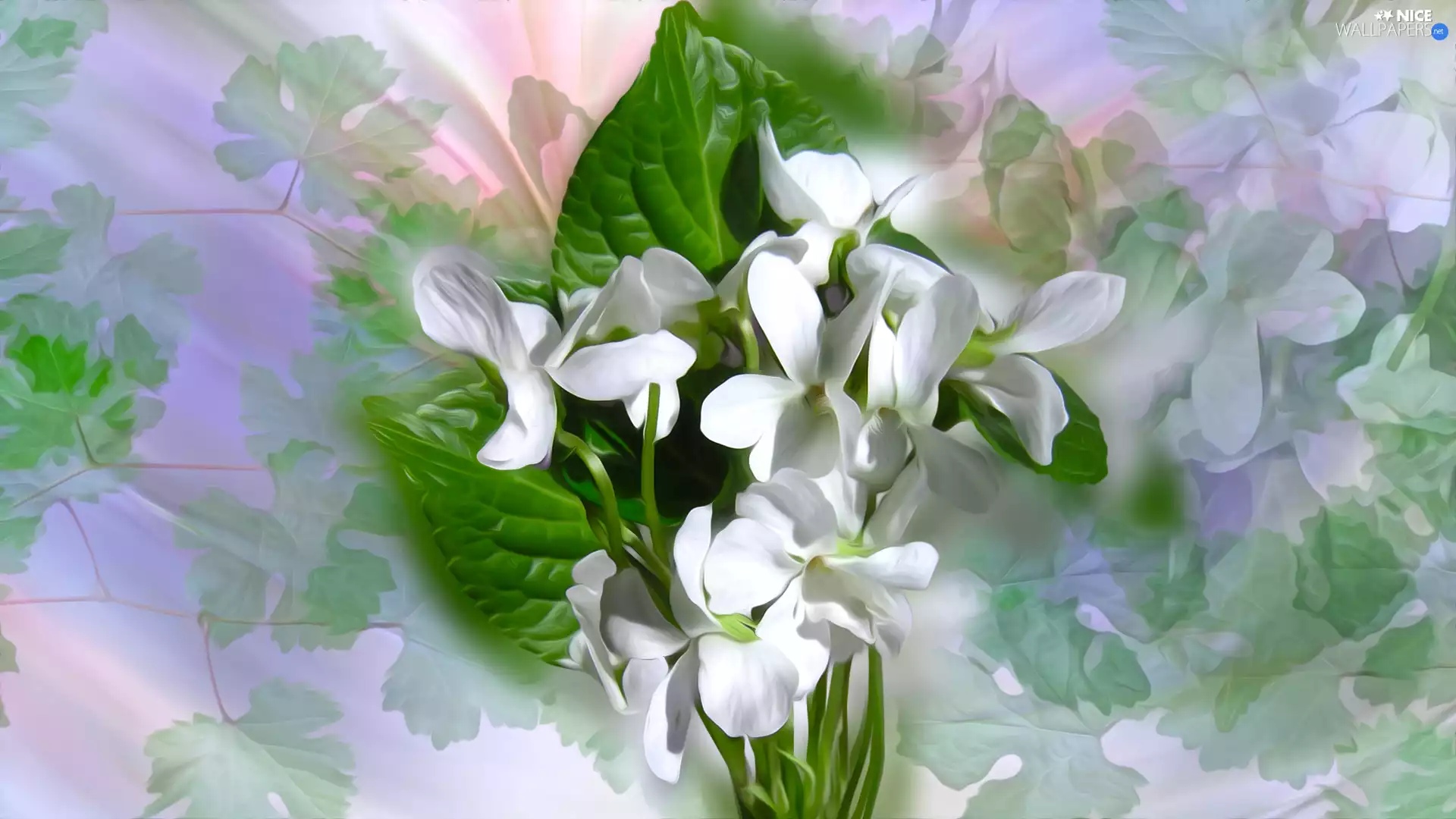 White Flowers, graphics