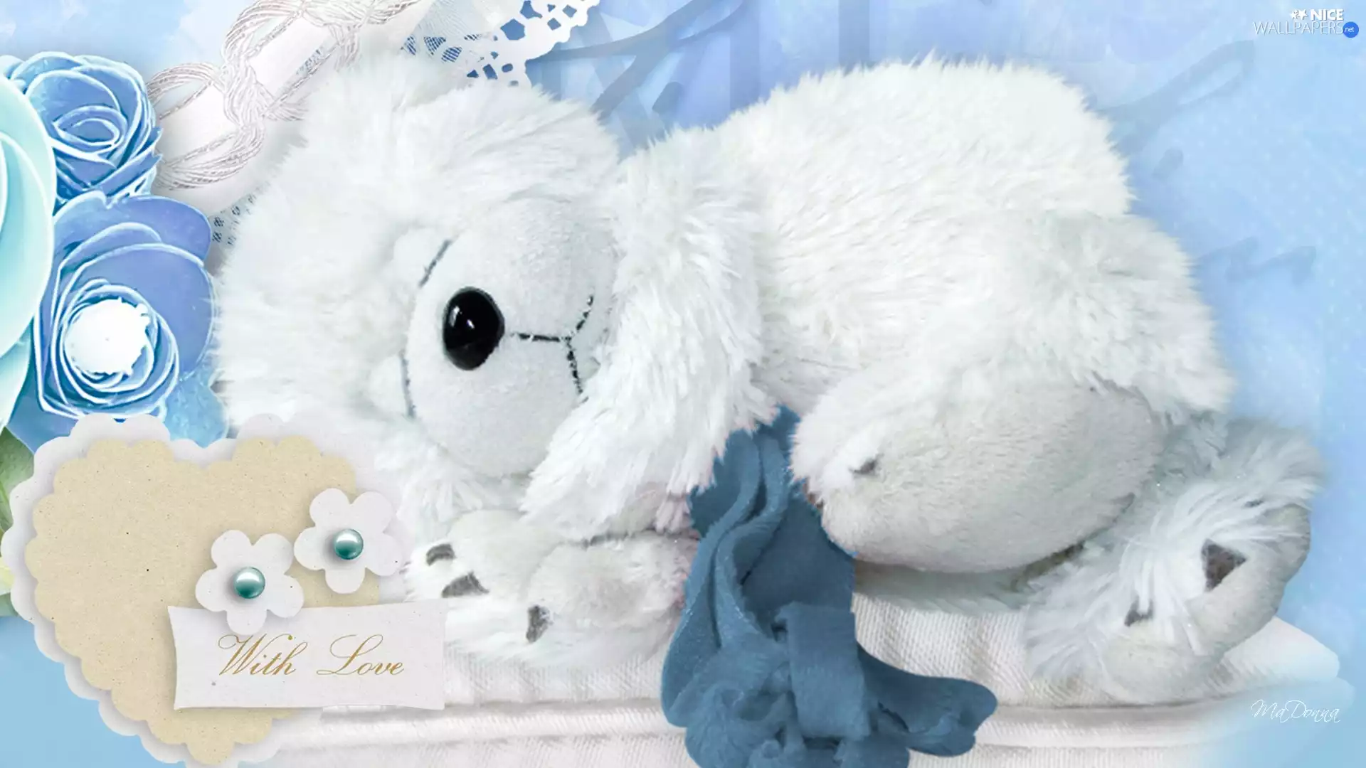 teddy bear, sleepy, White