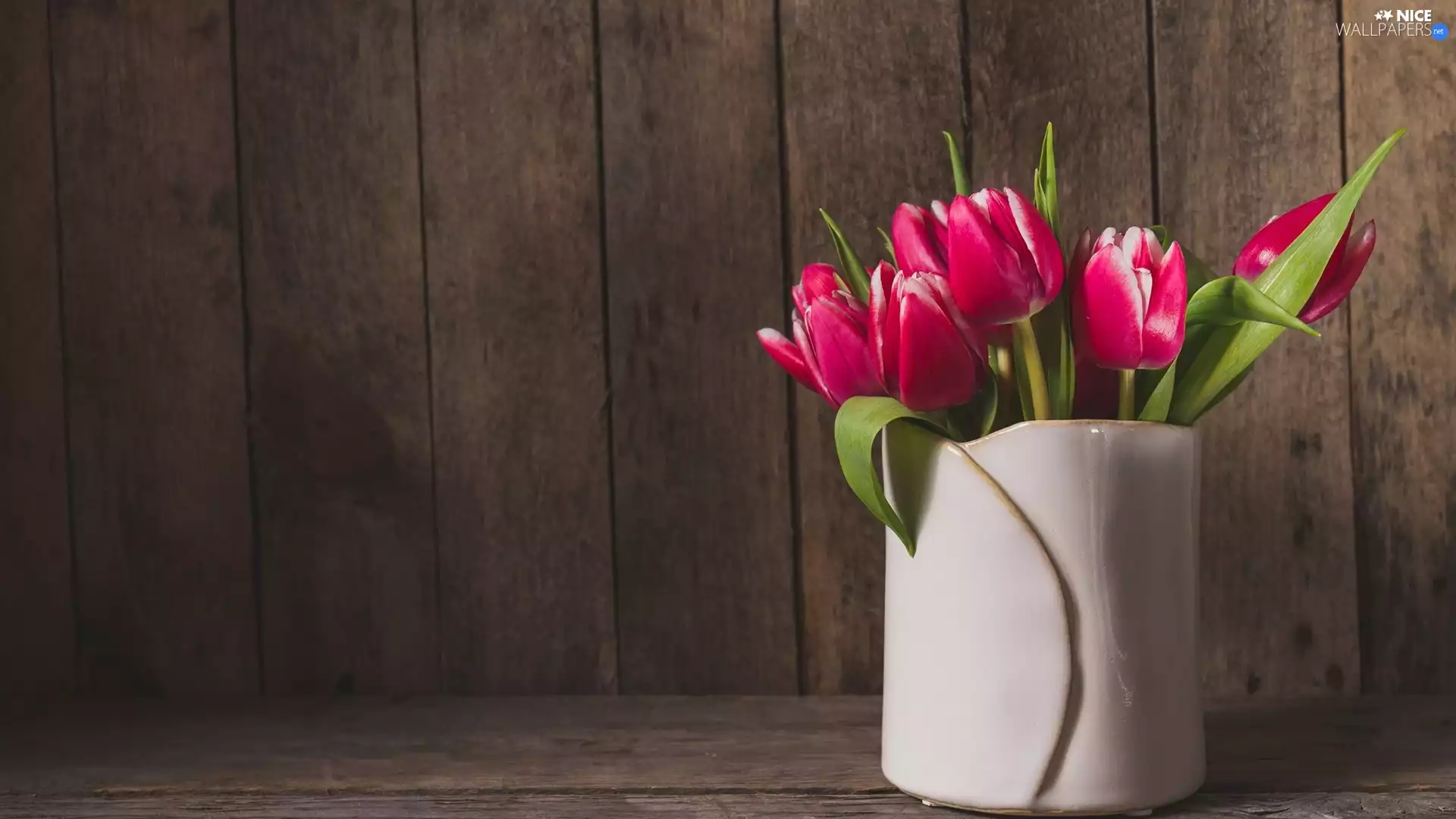 Tulips, Vase, boarding, White
