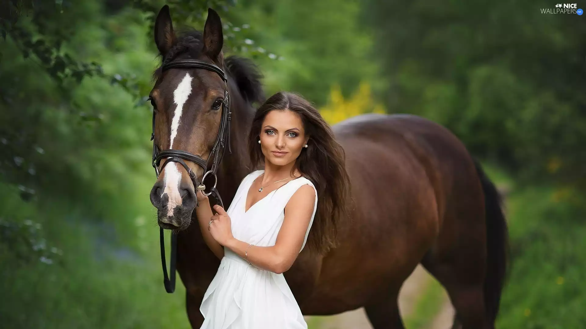 Women, dress, Horse, White