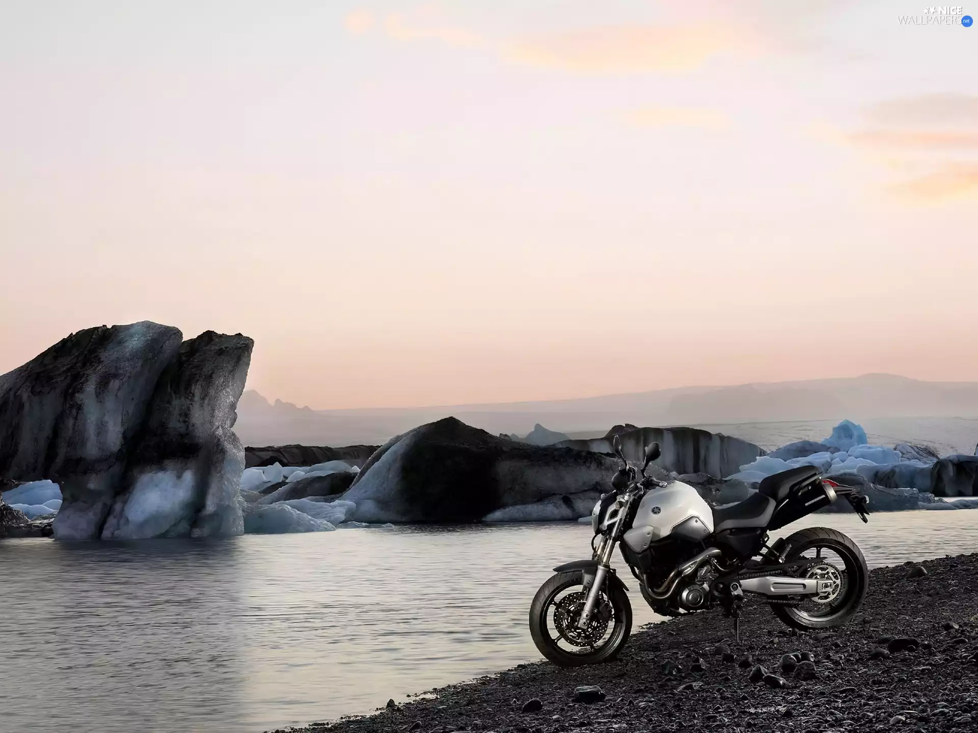 tank, White, Yamaha MT-03