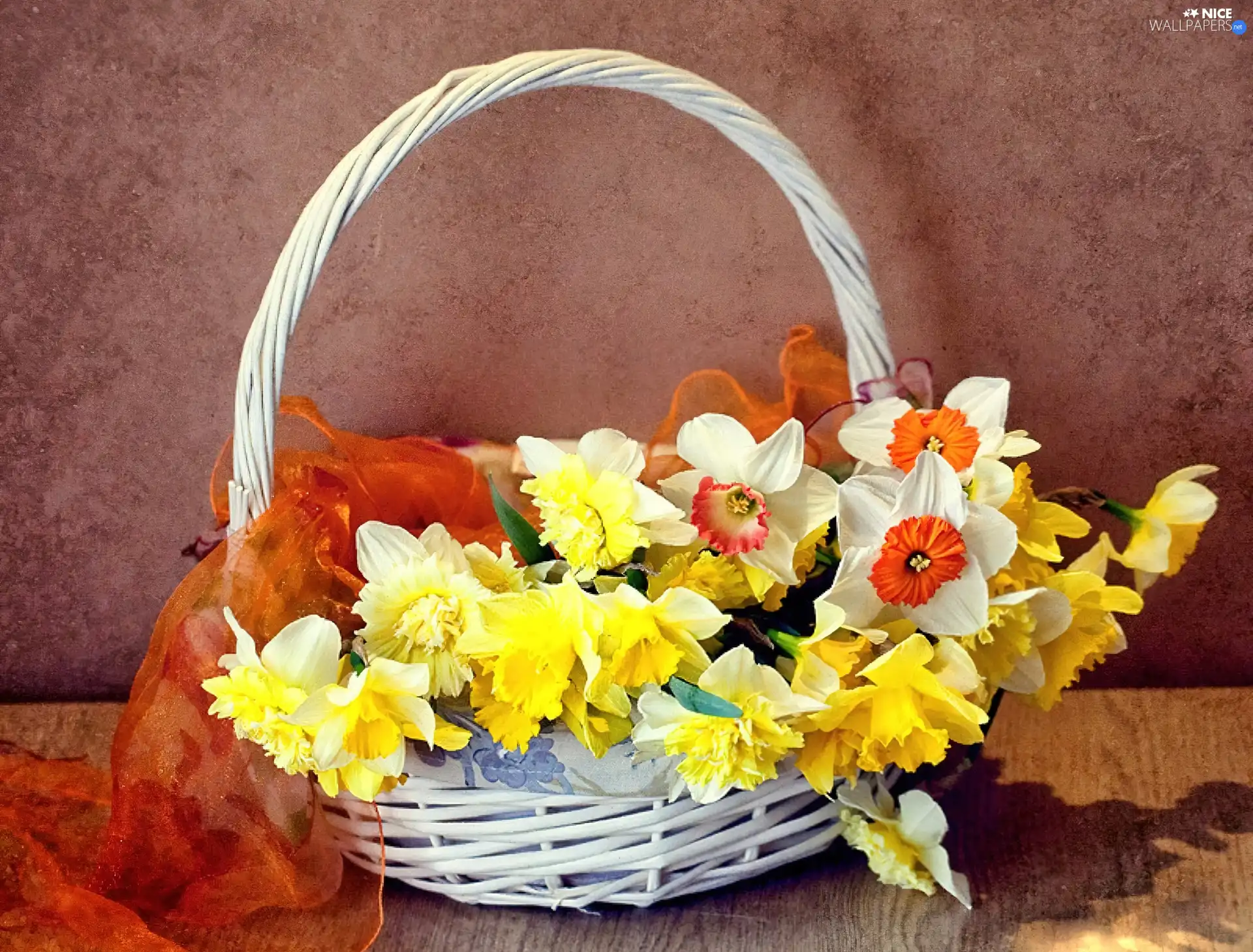 Daffodils, Flowers, basket, narcissus, Spring, wicker, apatite