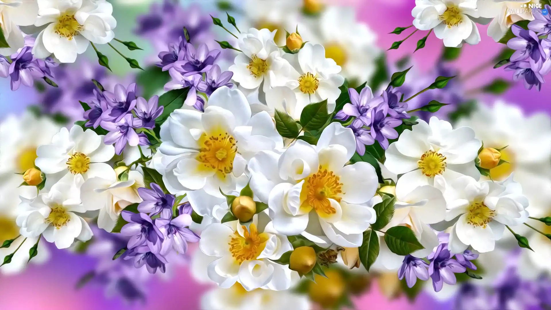 Flowers, Wild Roses, graphics, White