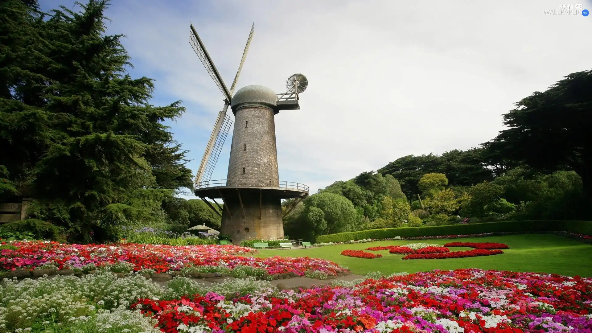 Flowers, viewes, Windmill, trees