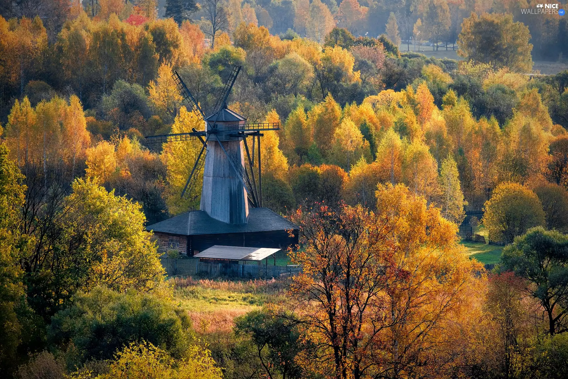 forest, Windmill, trees, viewes, autumn