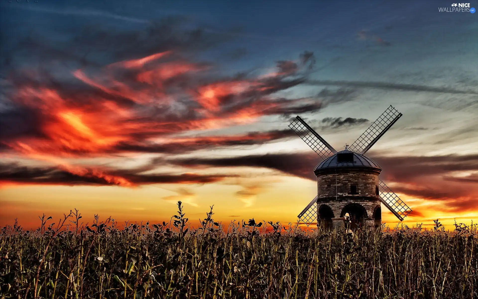 west, field, Windmill, sun