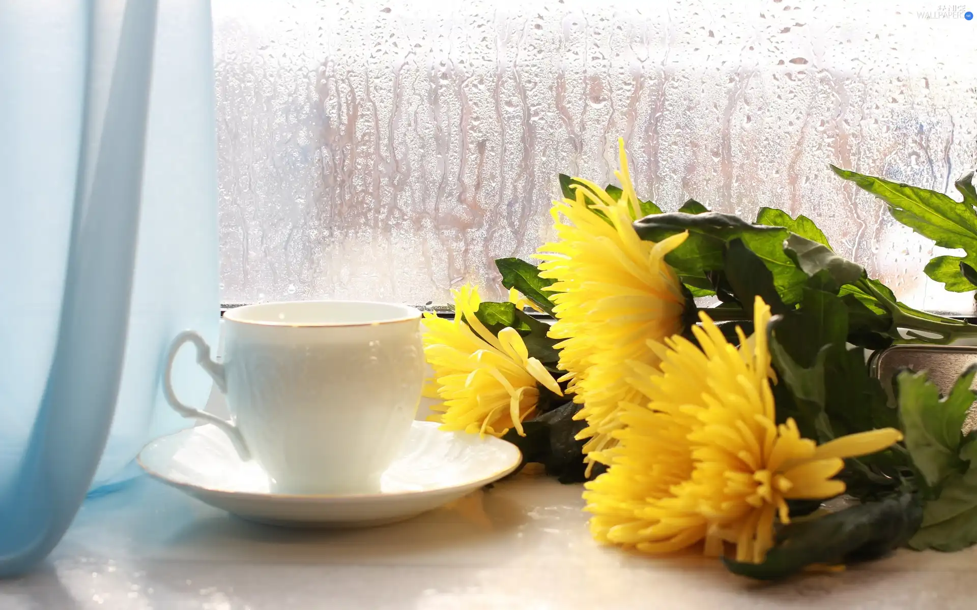 bouquet, cup, Window, Rain, flowers, tea