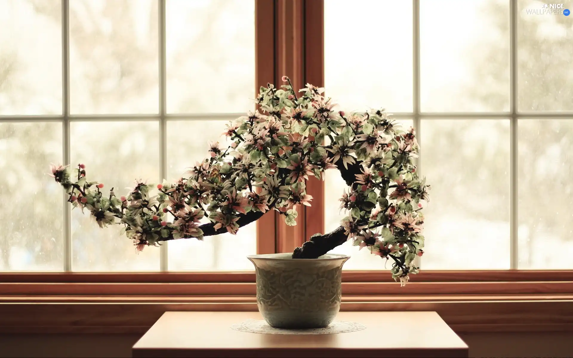 sapling, pot, Window, Bonsai