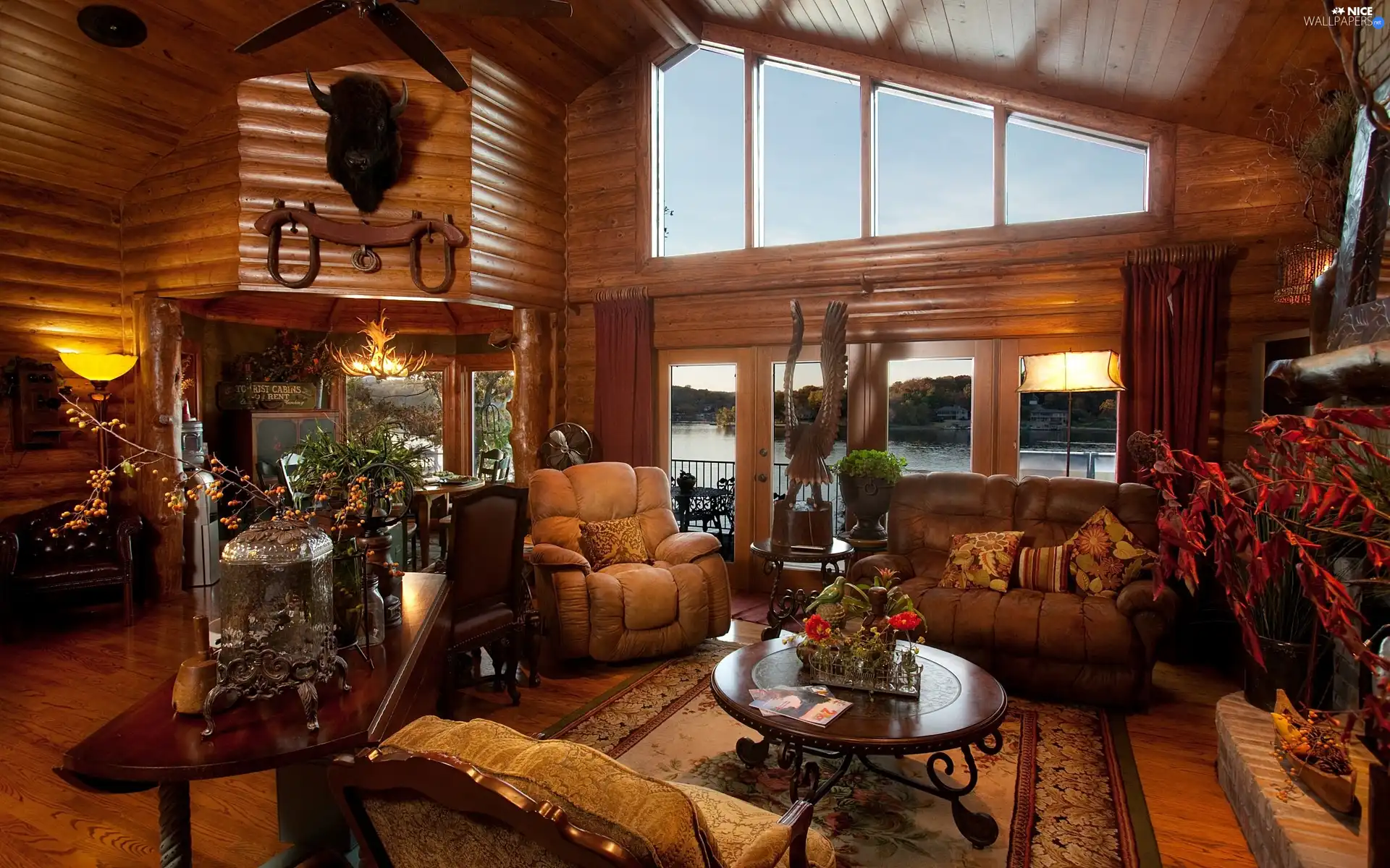 saloon, Window, View, stylish