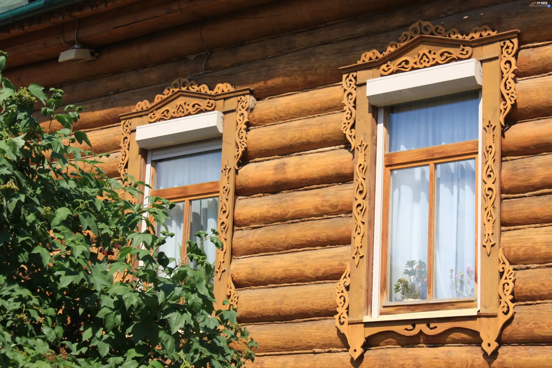 Windows, house, wooden