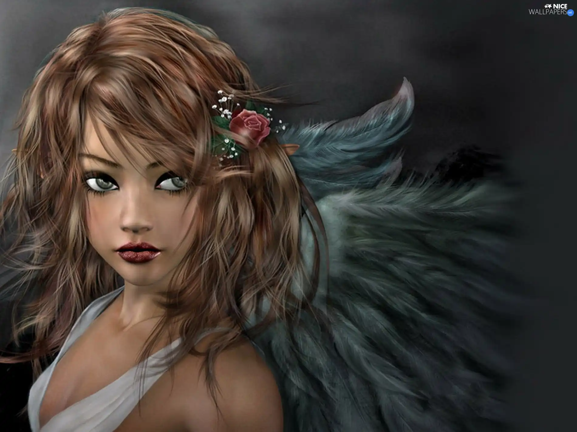 wings, Lovely, angel