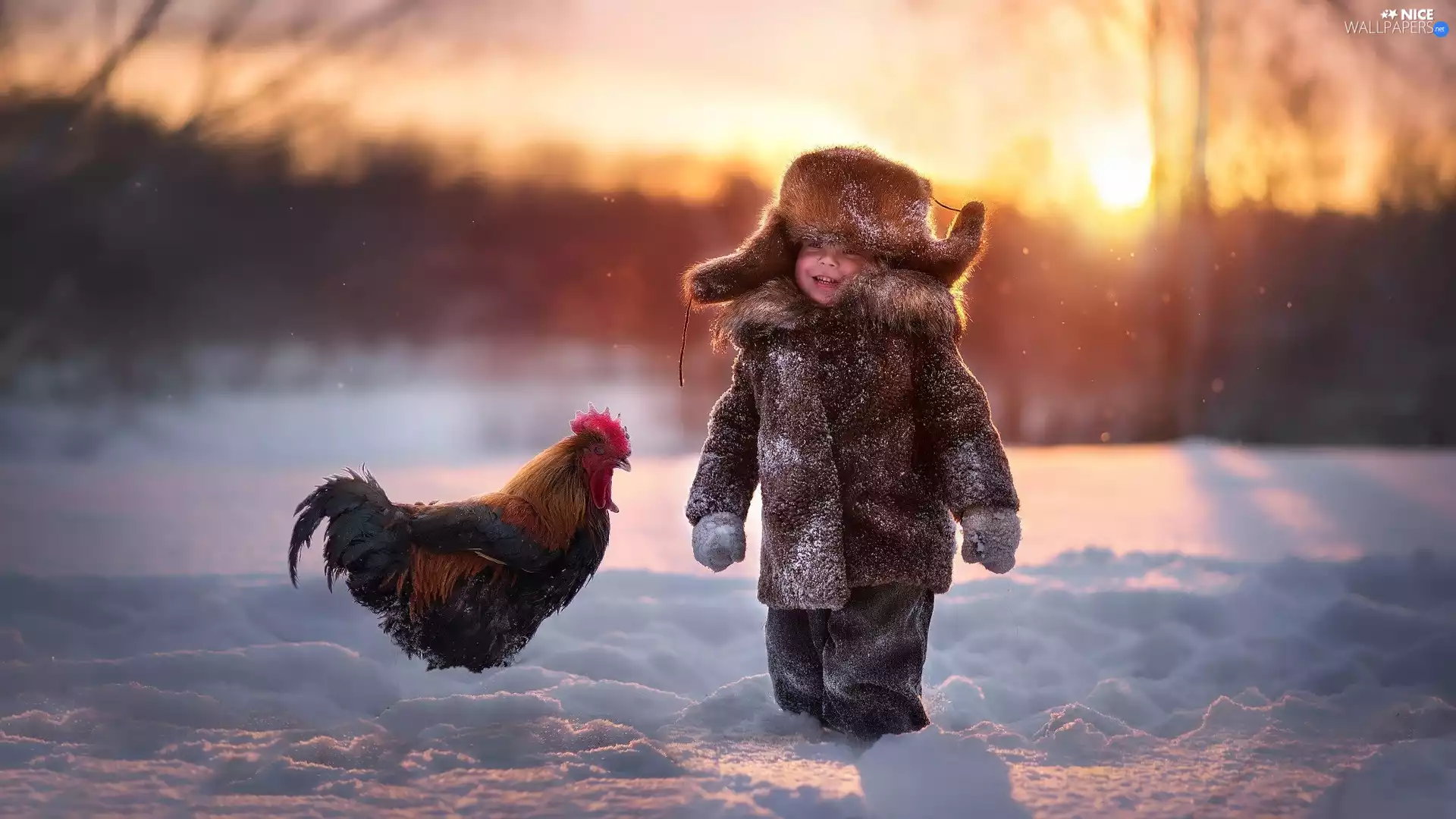 rooster, winter, boy, Kid, cheerful