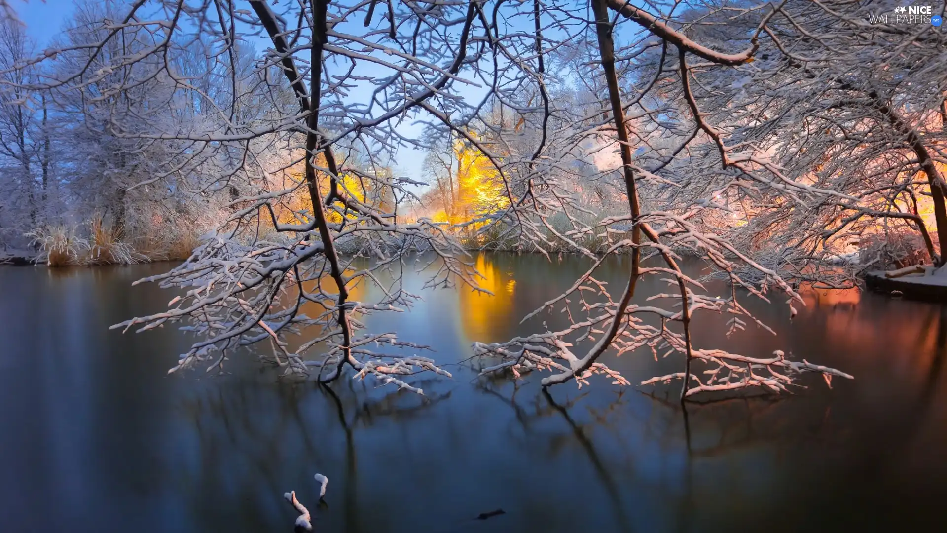 winter, Park, viewes, branch pics, trees, Pond - car