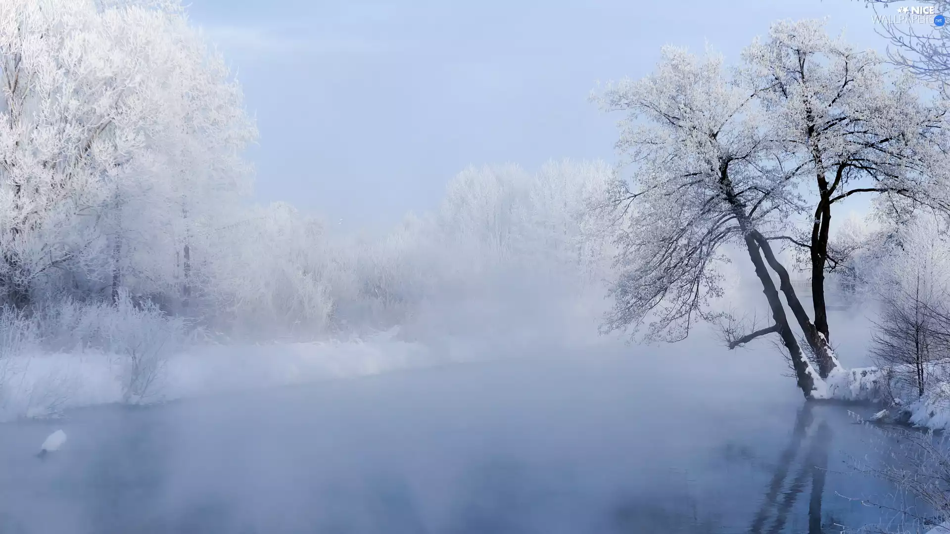 Snowy, River, viewes, winter, trees, Fog
