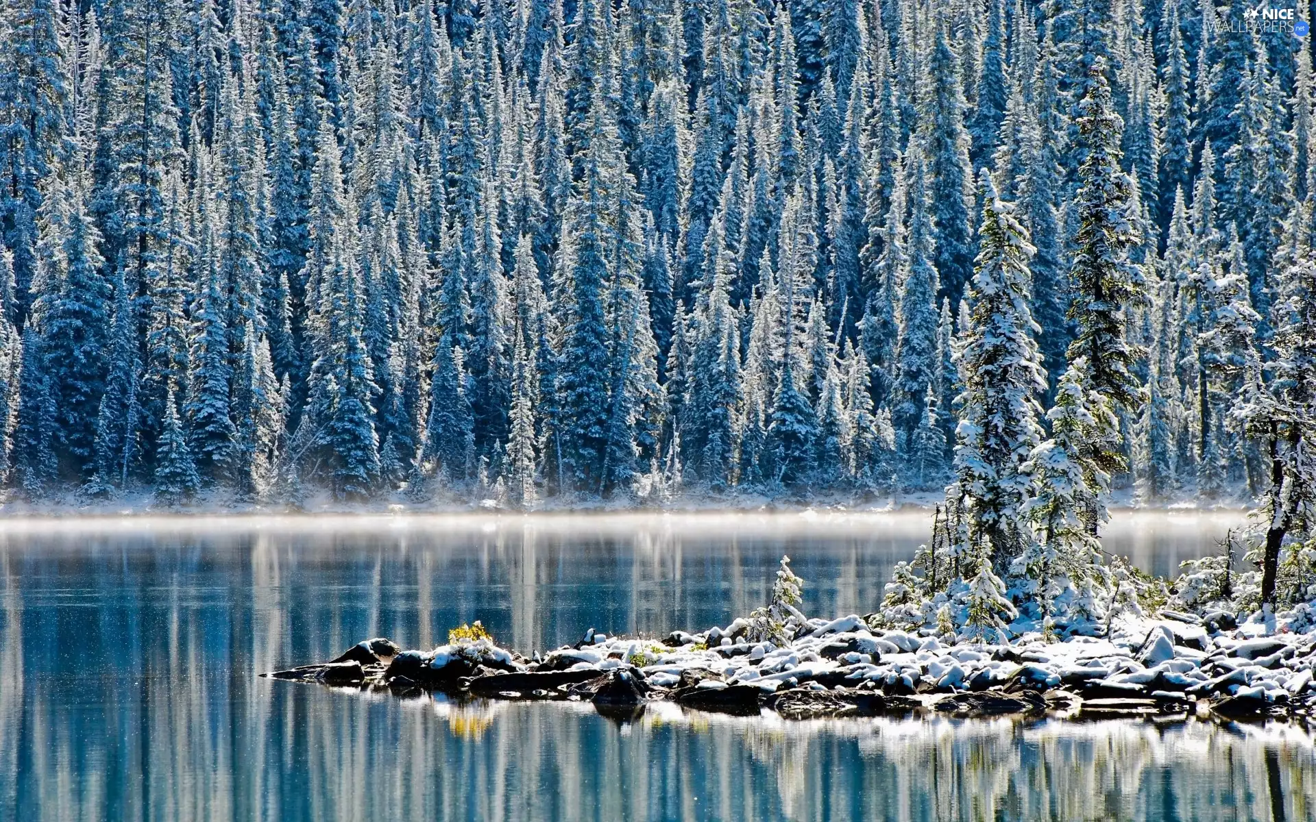 winter, lake, forest