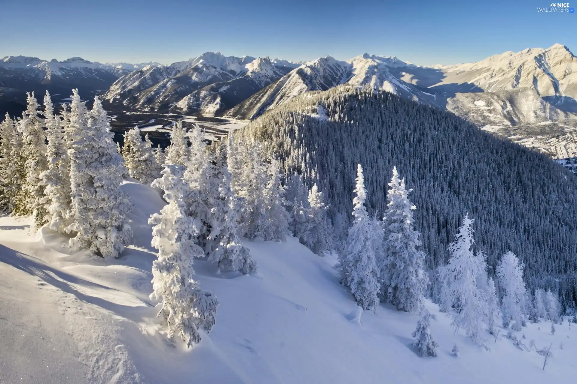 winter, Mountains, forest