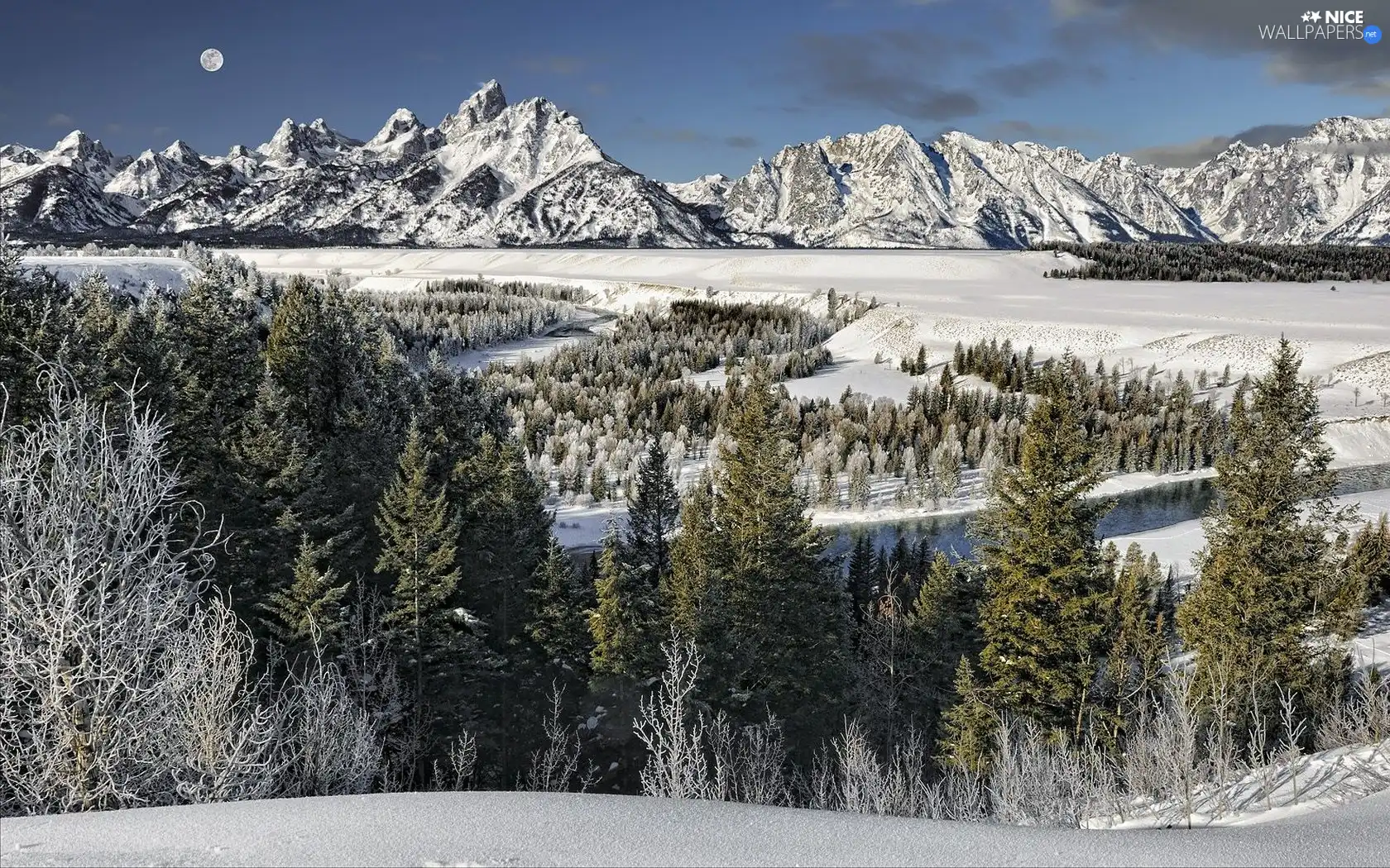 winter, Mountains, forest