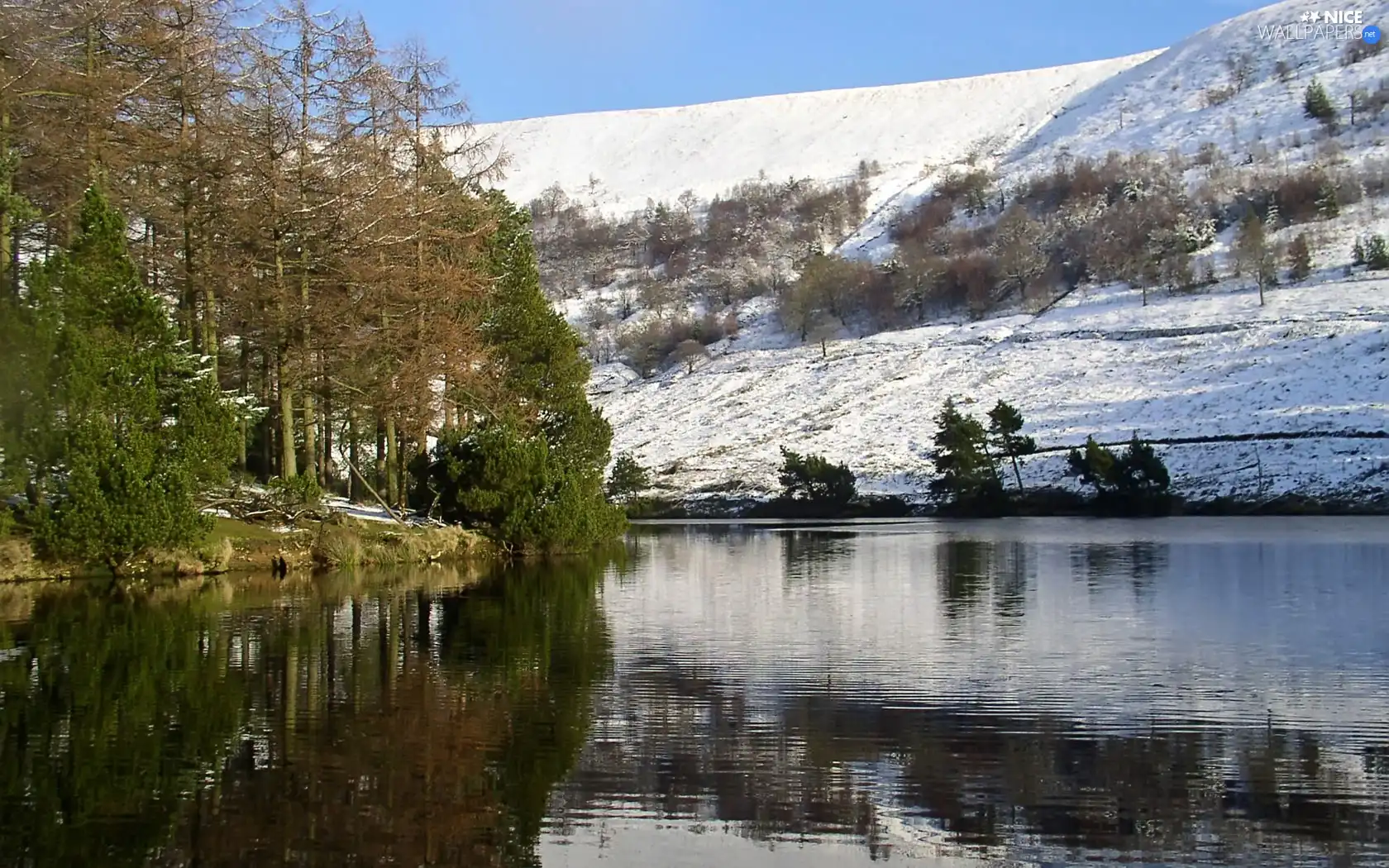 winter, River, forest