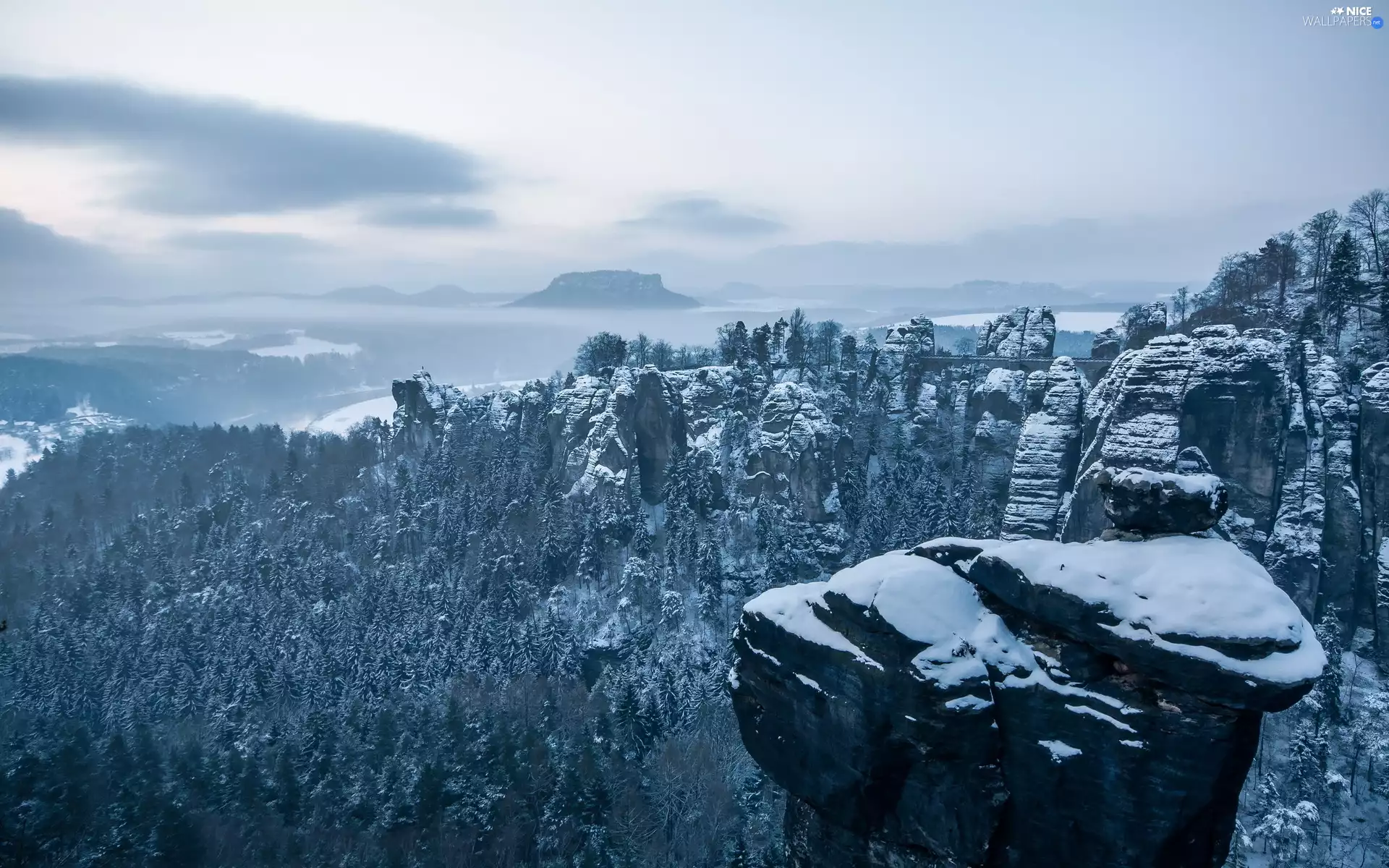 winter, rocks, forest