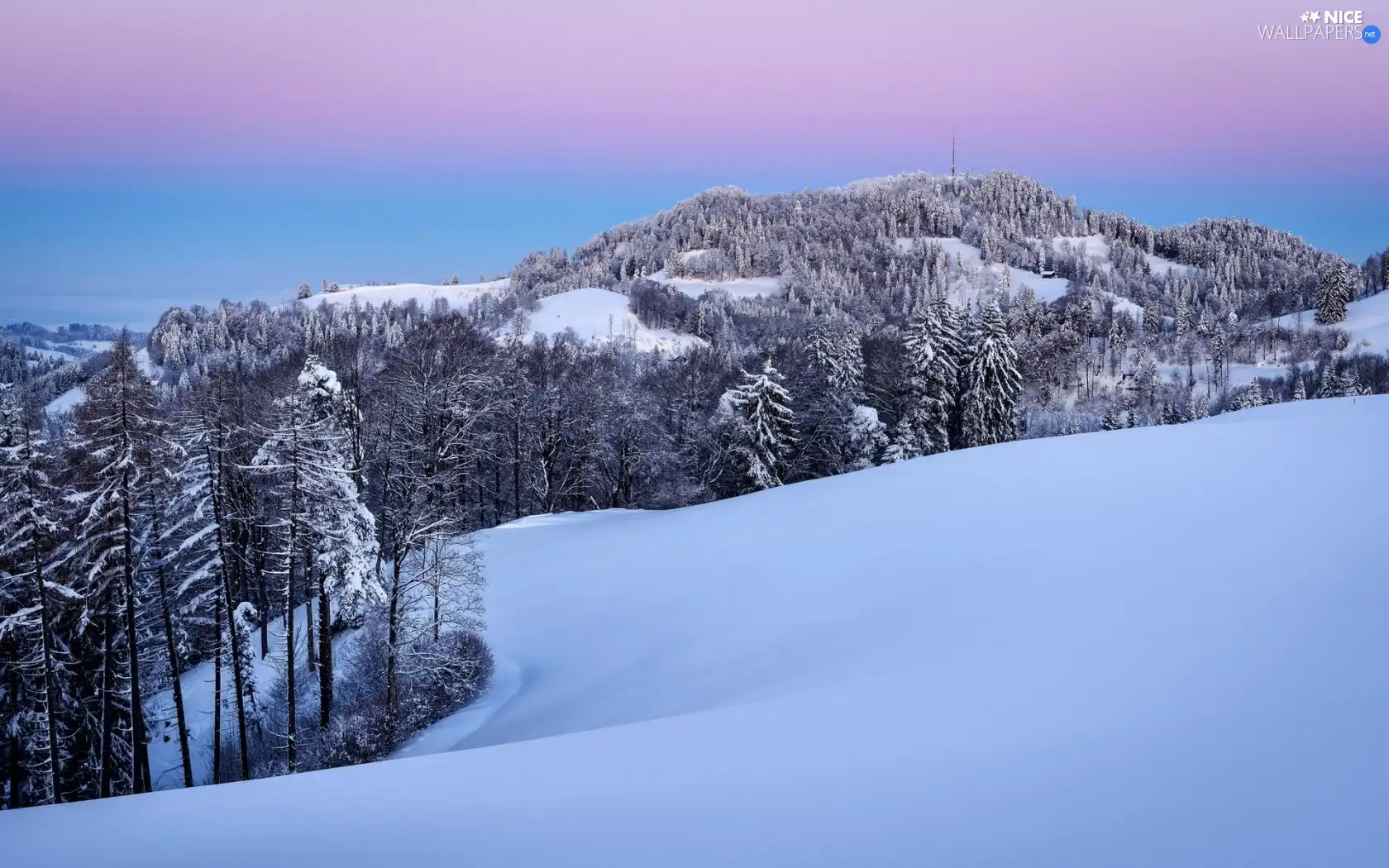 forest, snow, winter, Mountains