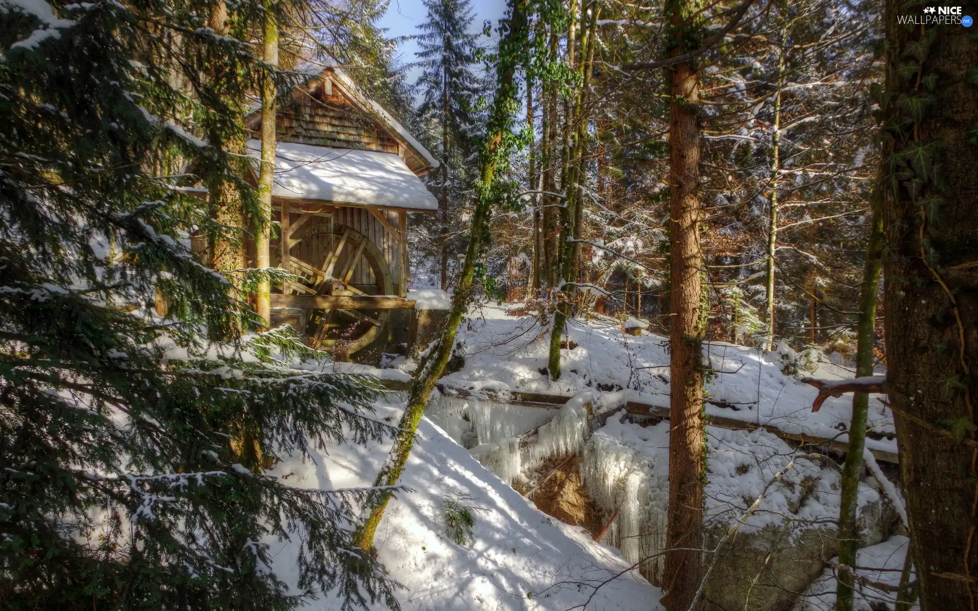 winter, Watermill, forest