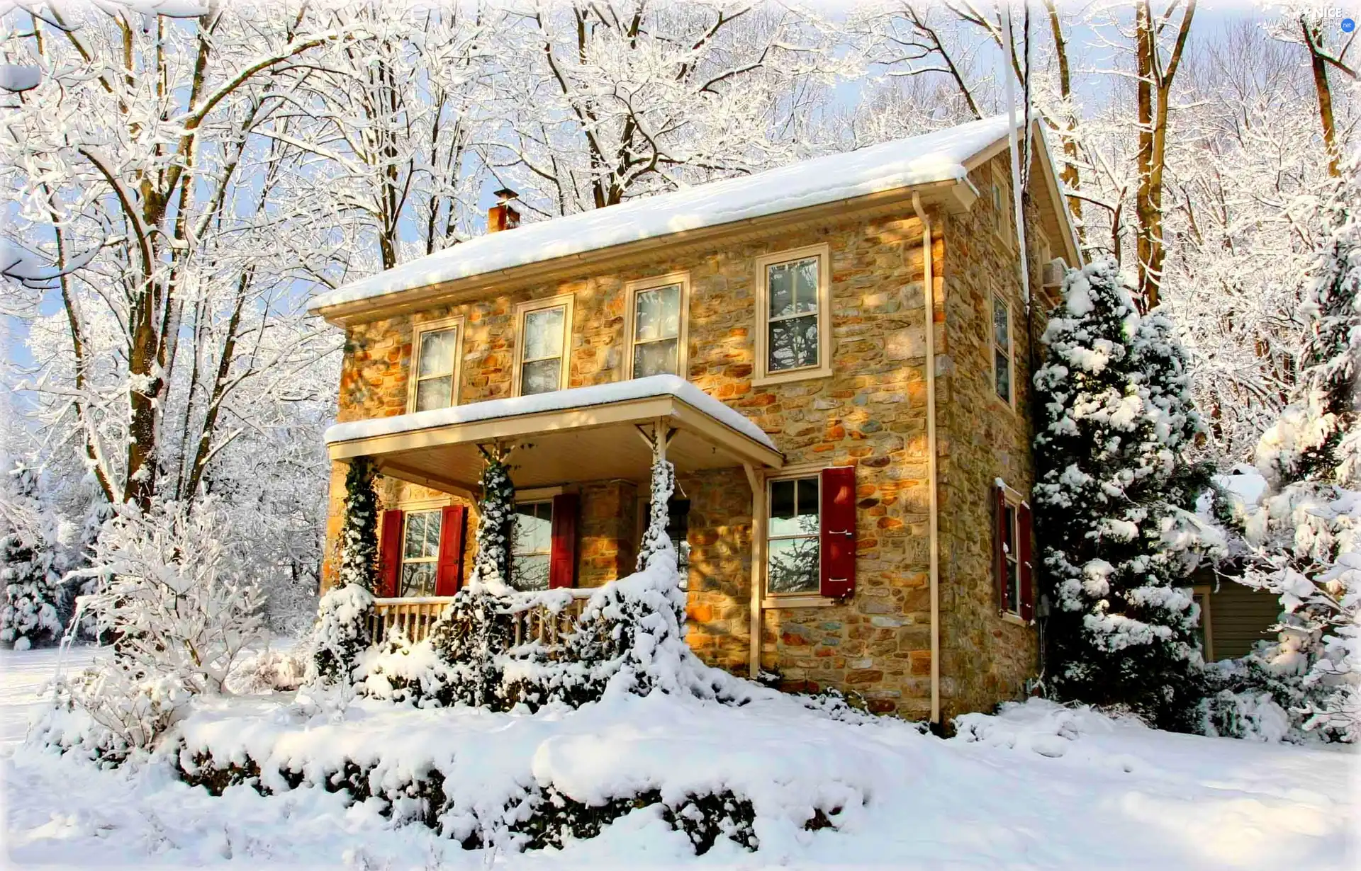 house, viewes, winter, trees