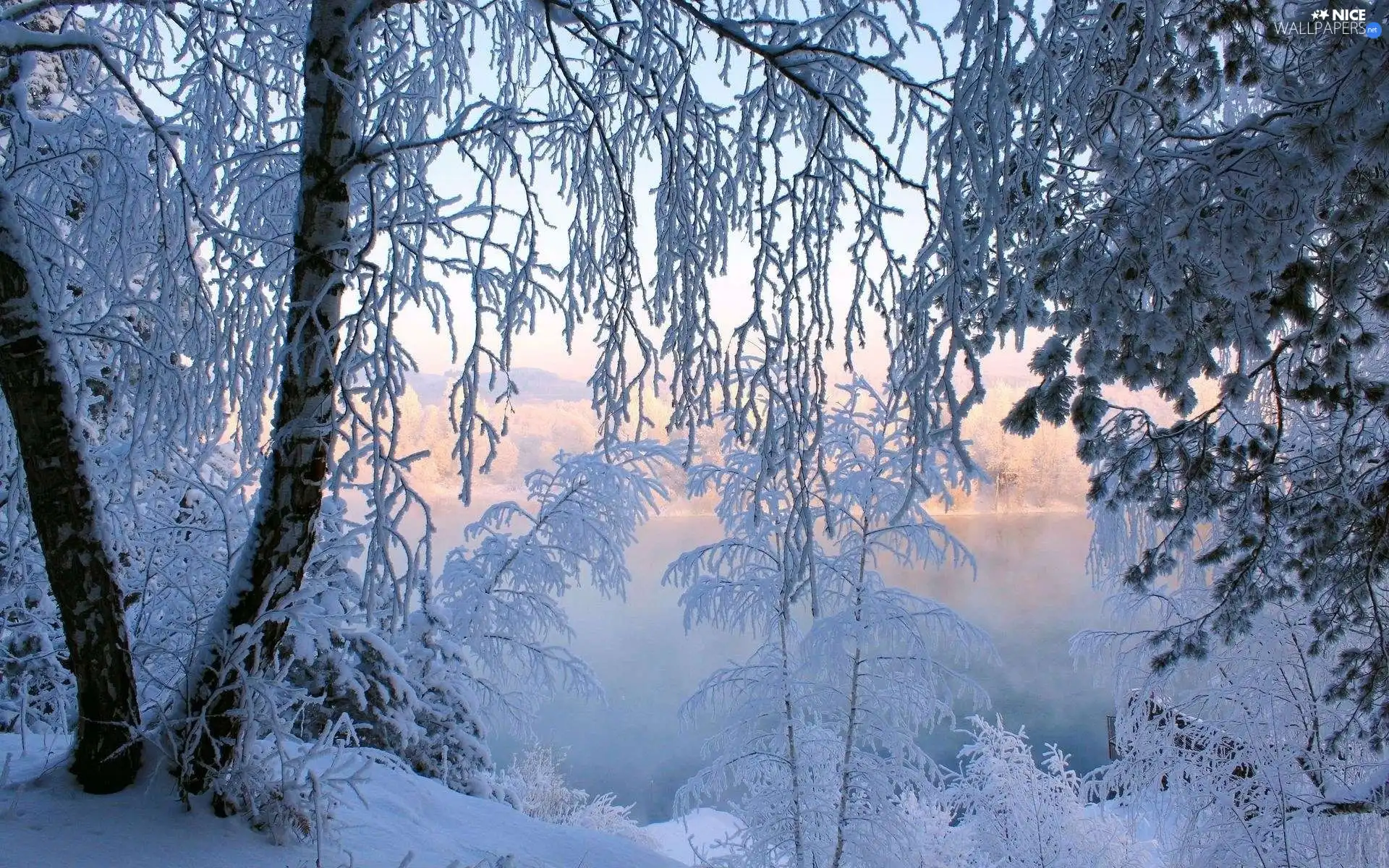 lake, viewes, winter, trees