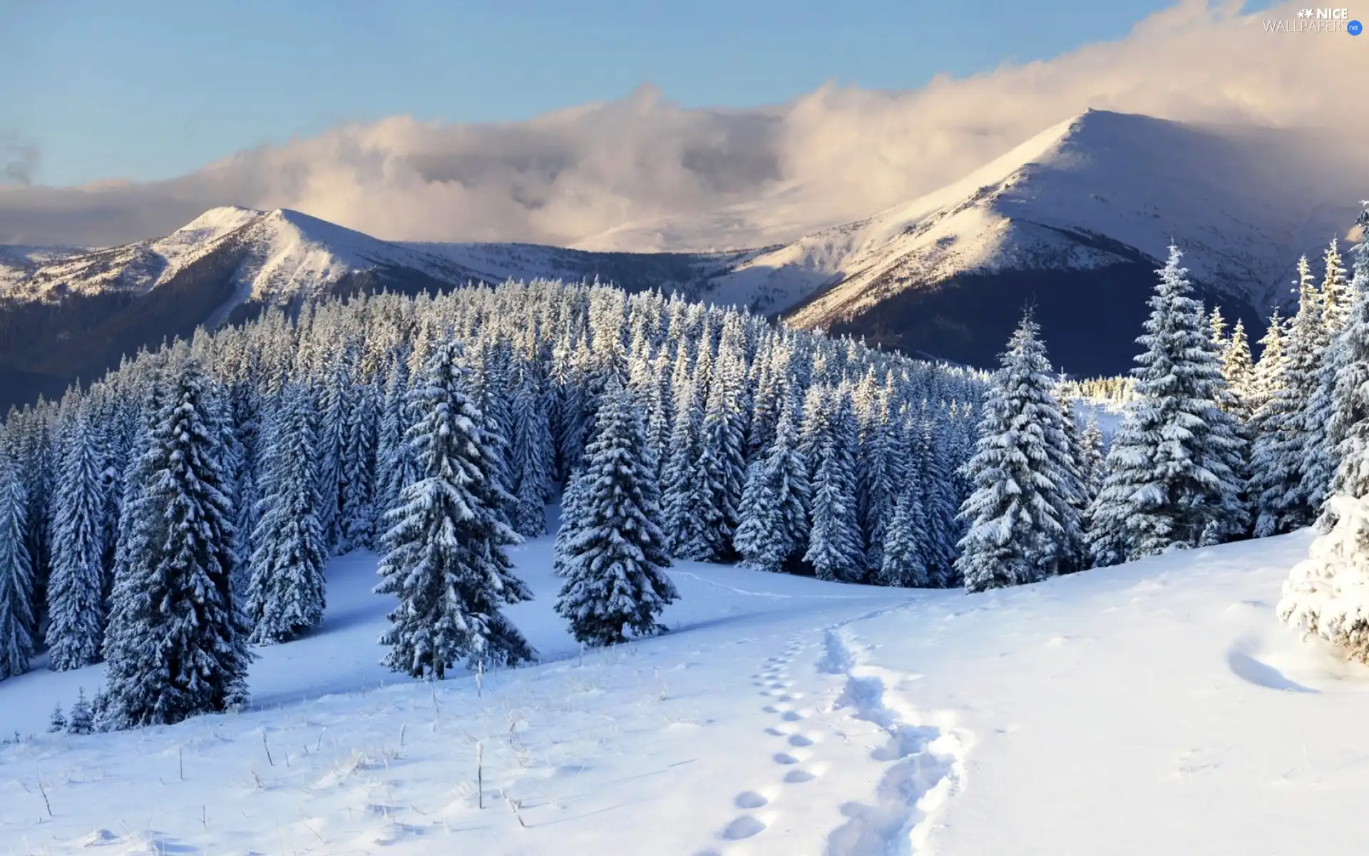 Mountains, forest, winter, clouds