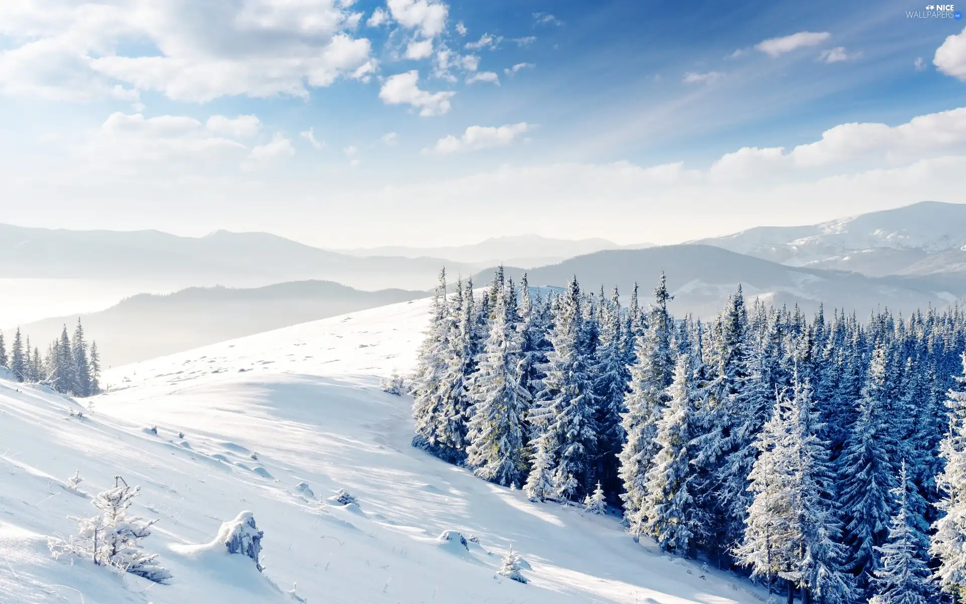 winter, forest, Mountains