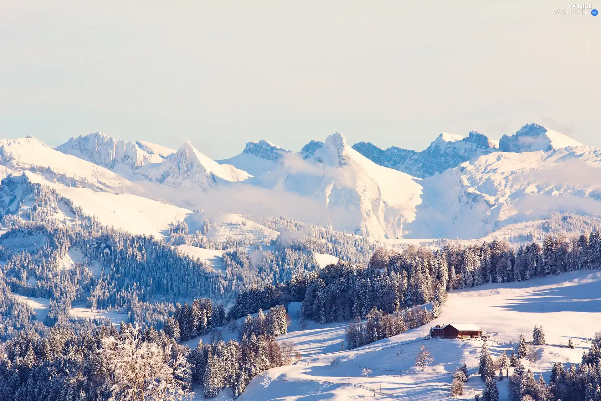 Mountains, Home, winter, forest