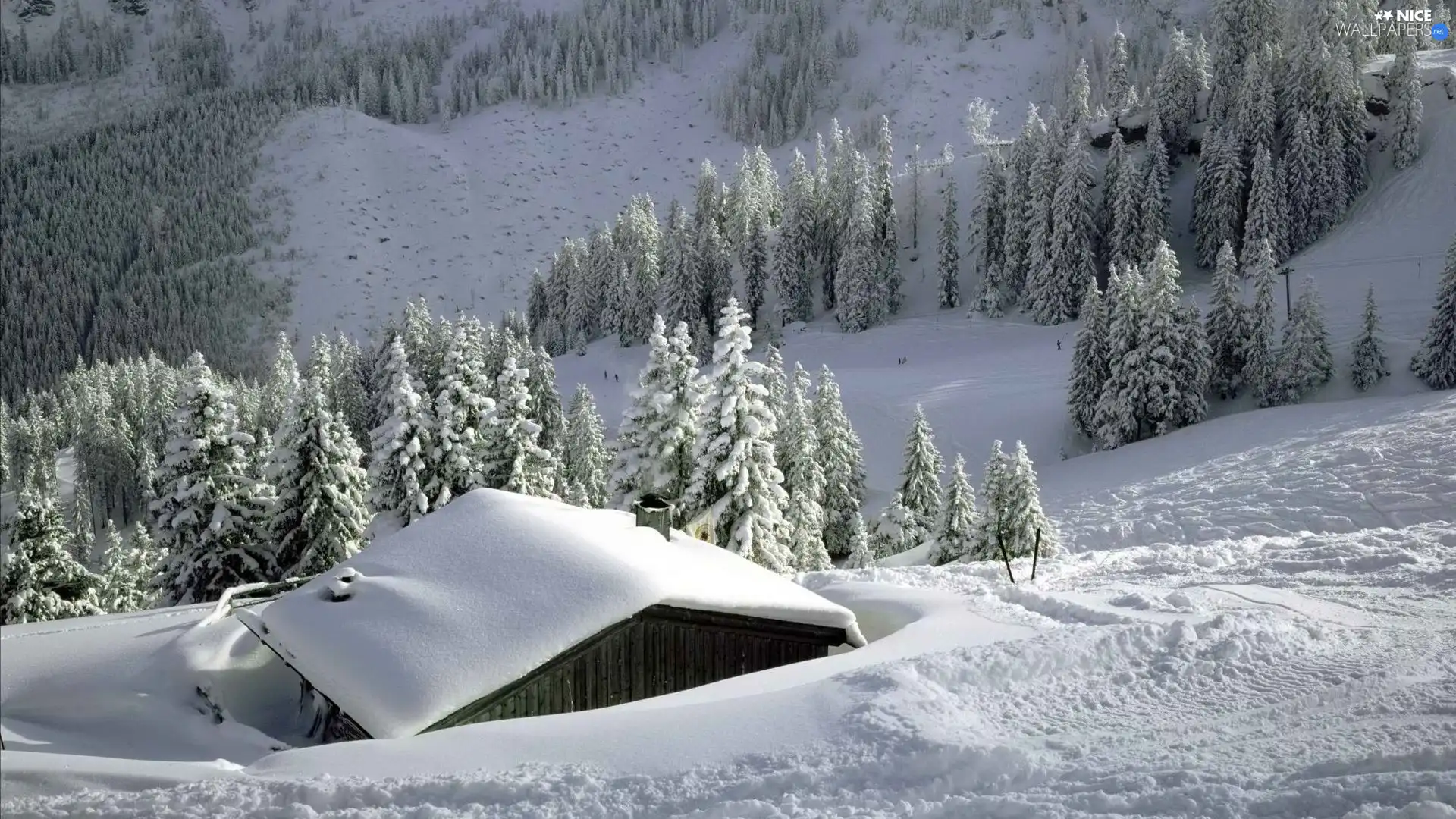 Mountains, Home, winter, woods