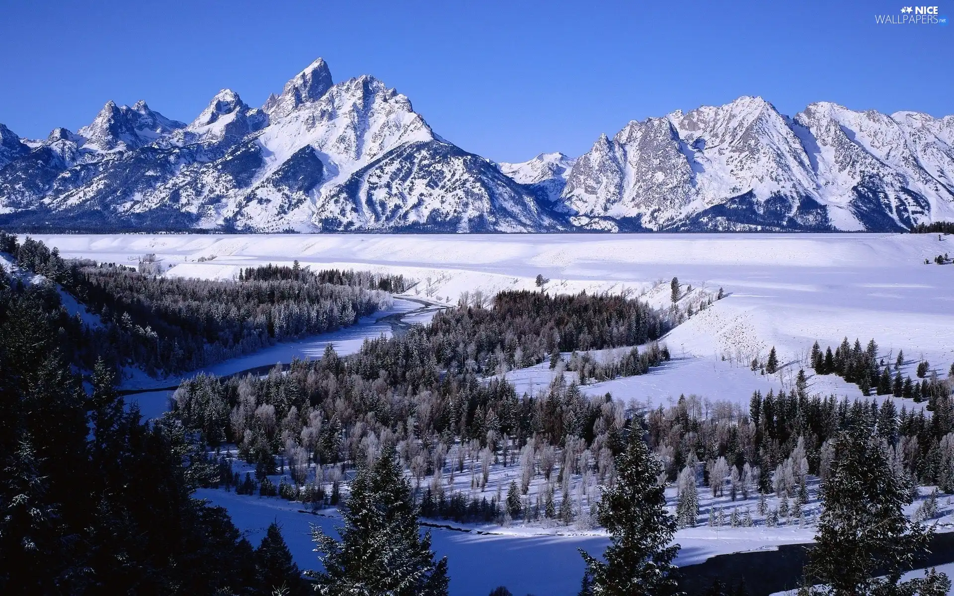 Mountains, River, winter, woods