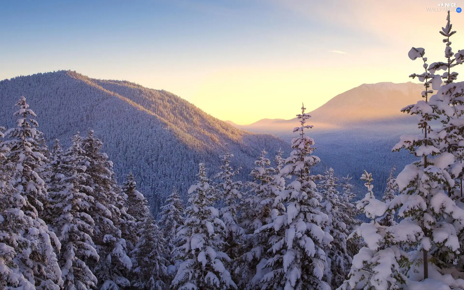 Mountains, snow, winter, forest