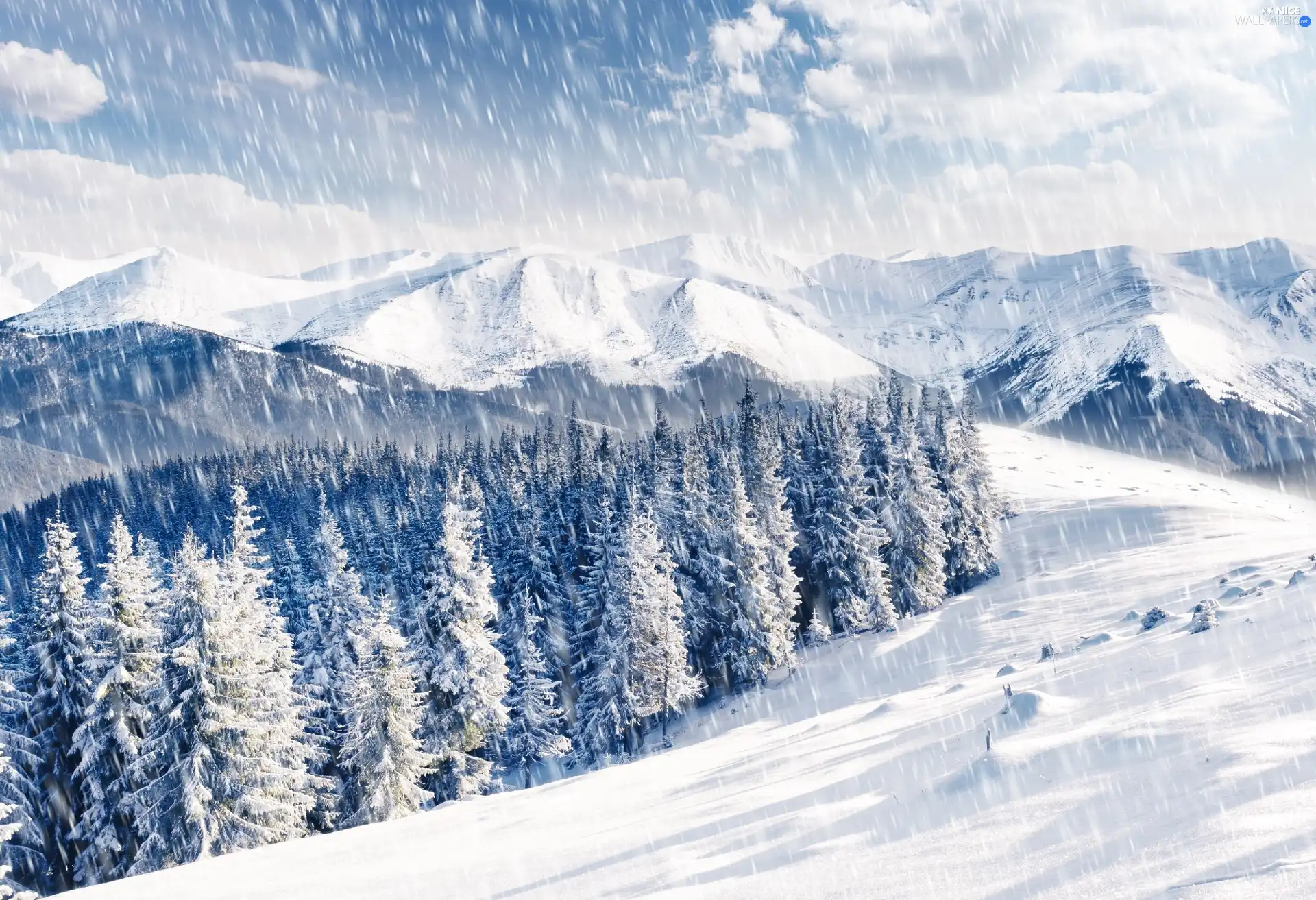 Mountains, snow, winter, forest