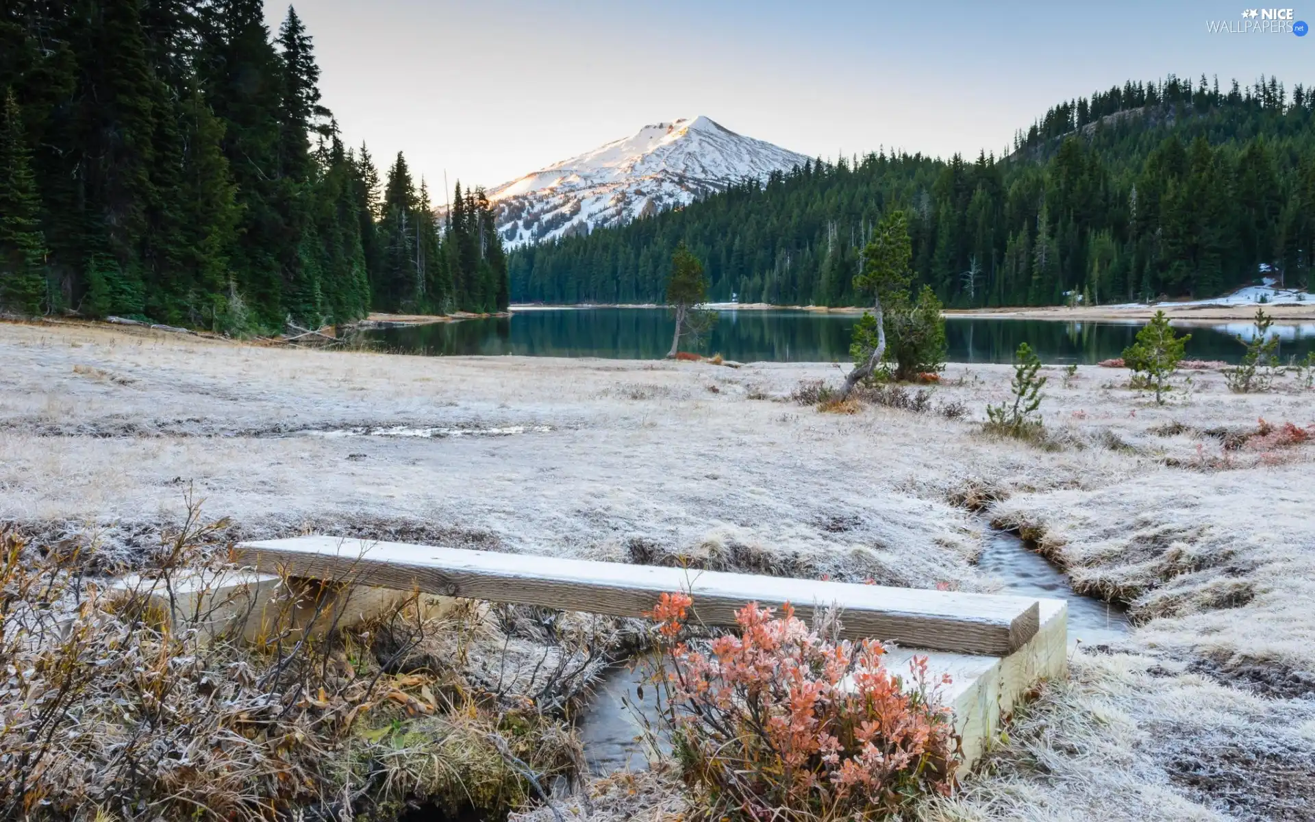 Mountains, stream, winter, woods