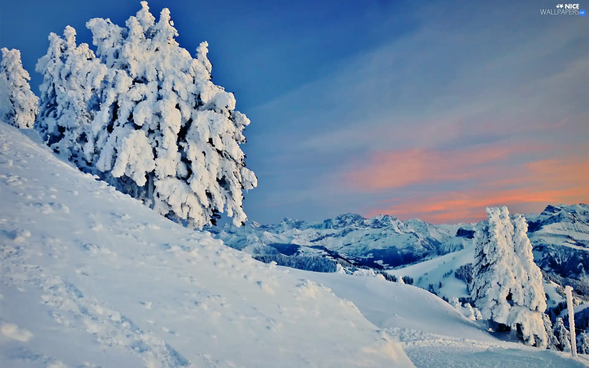 Mountains, viewes, winter, trees