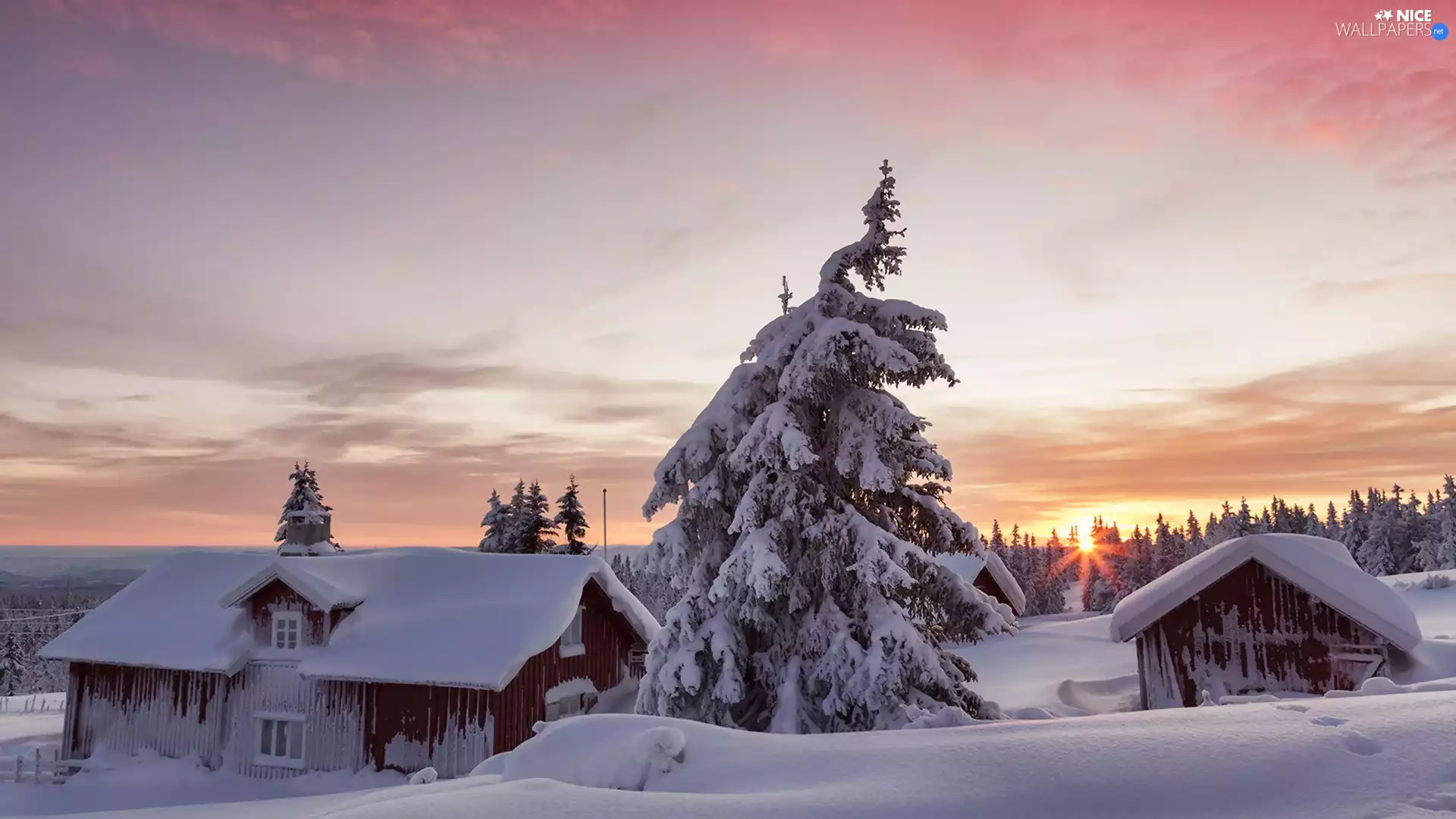 winter, Great Sunsets, viewes, Houses, trees, Lillehammer Municipality, Norway, Snowy