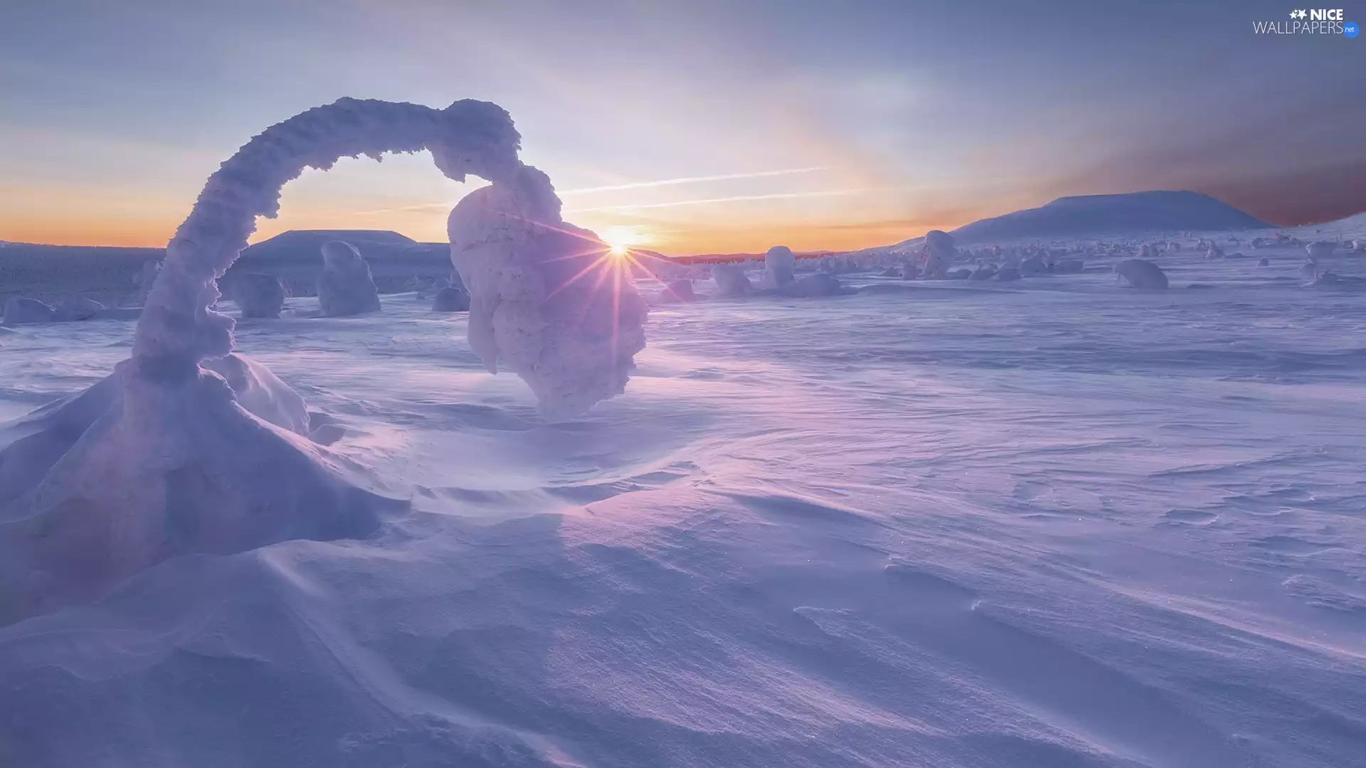 trees, rays of the Sun, Mountains, Snowy, winter