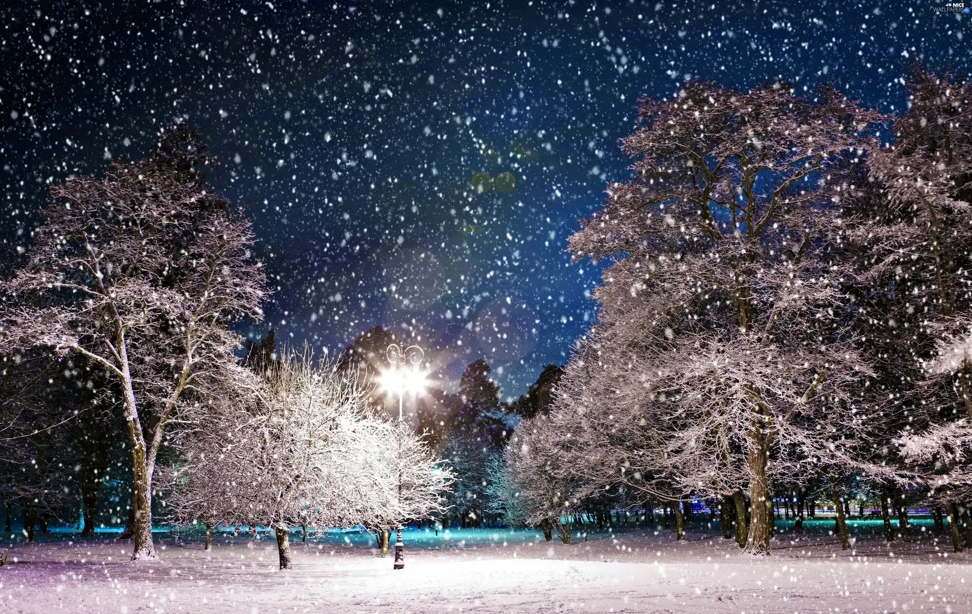 winter, Park, viewes, snow, trees