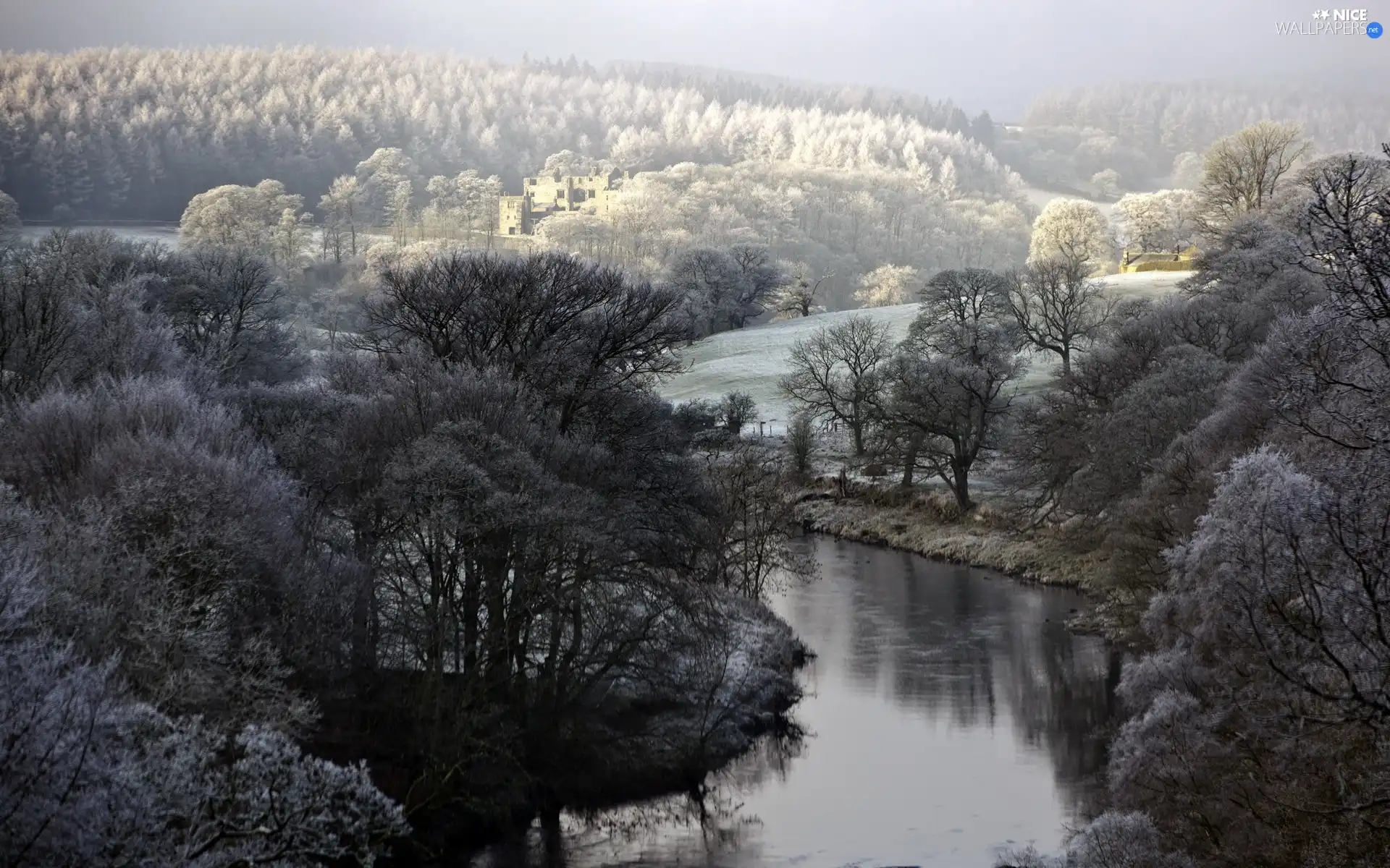 River, field, winter, woods