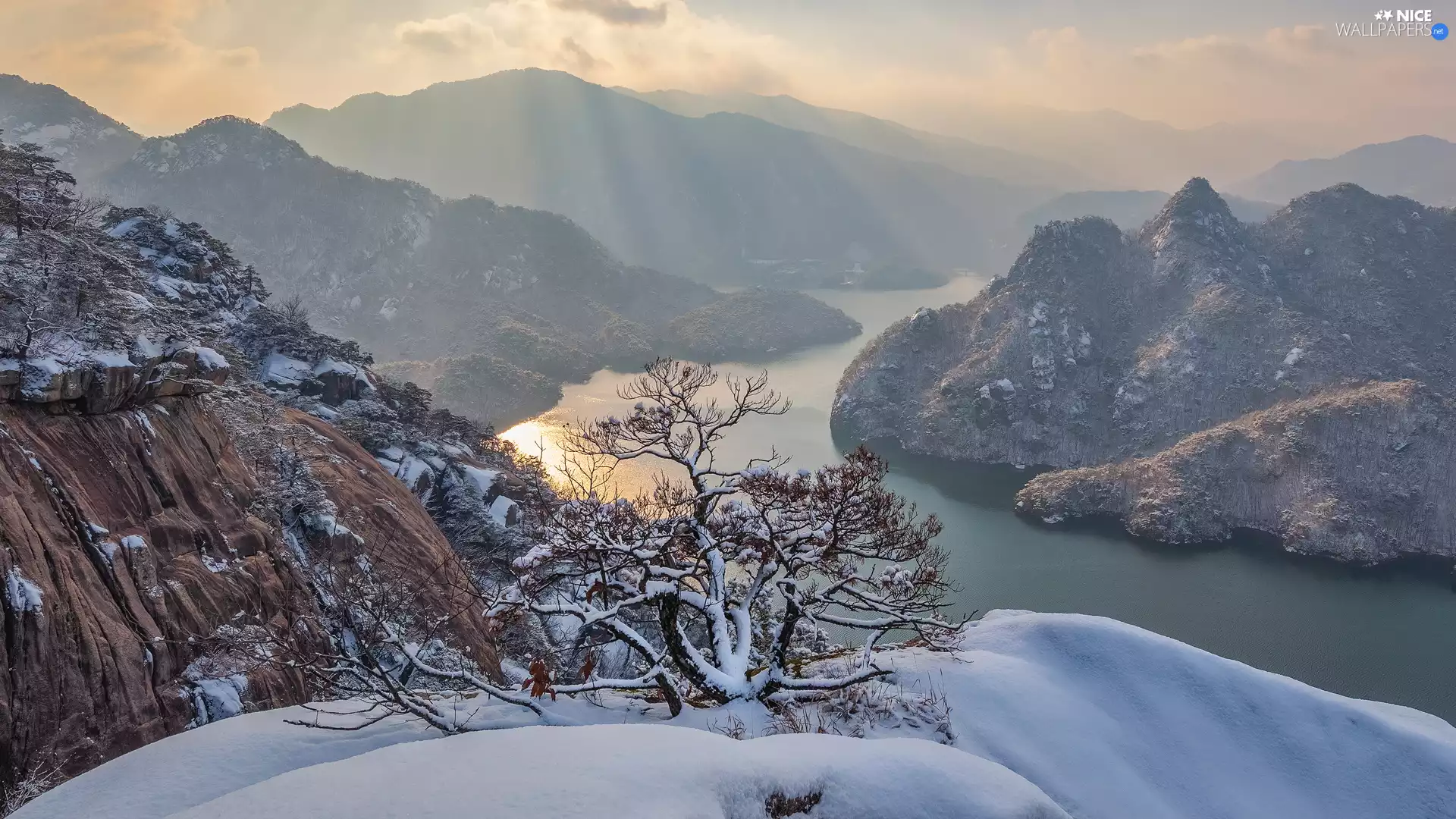 pine, winter, River, Rocks, Mountains