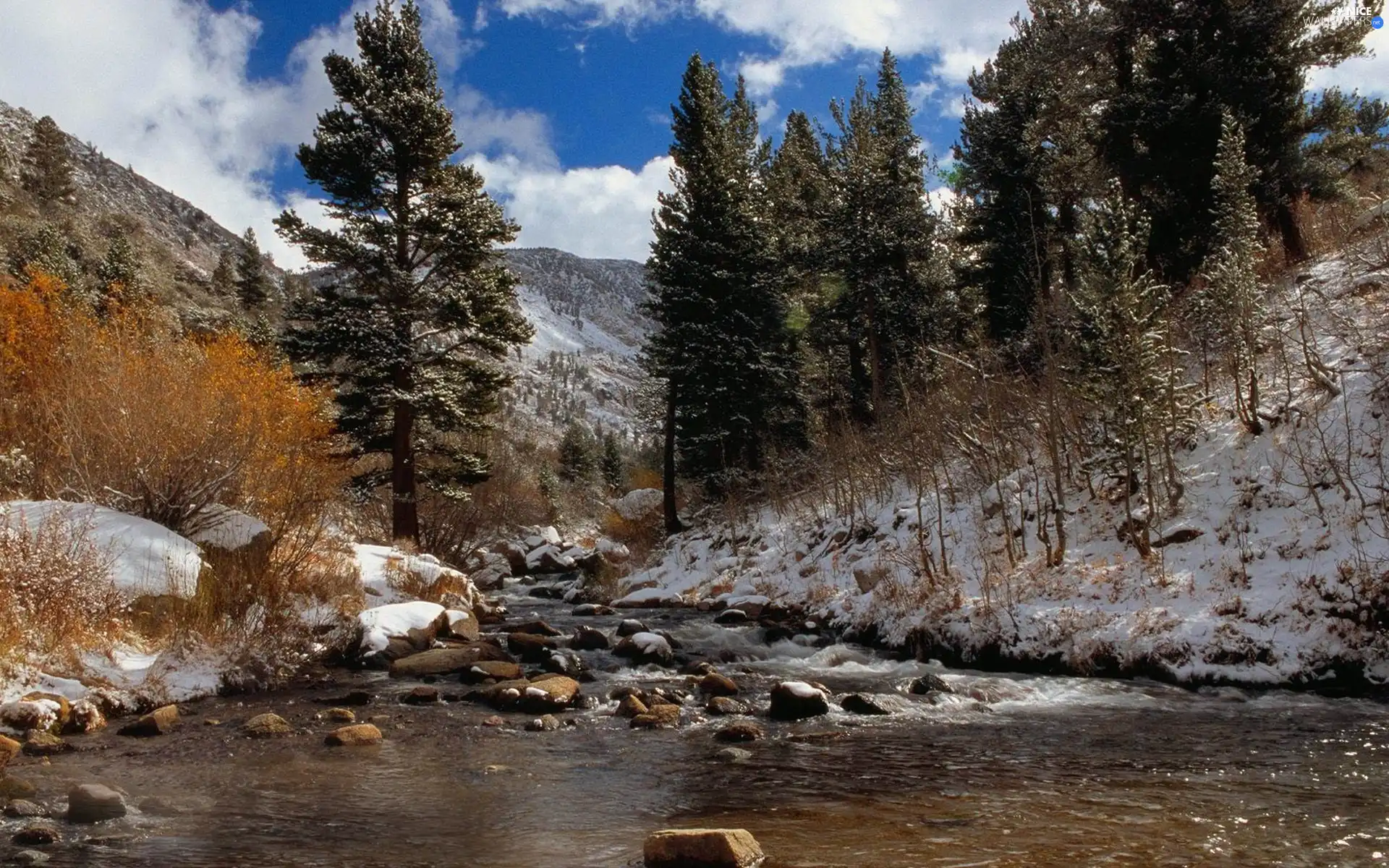 winter, Mountains, River