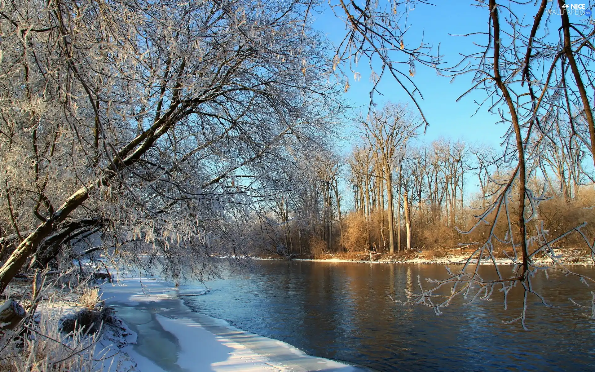 River, viewes, winter, trees