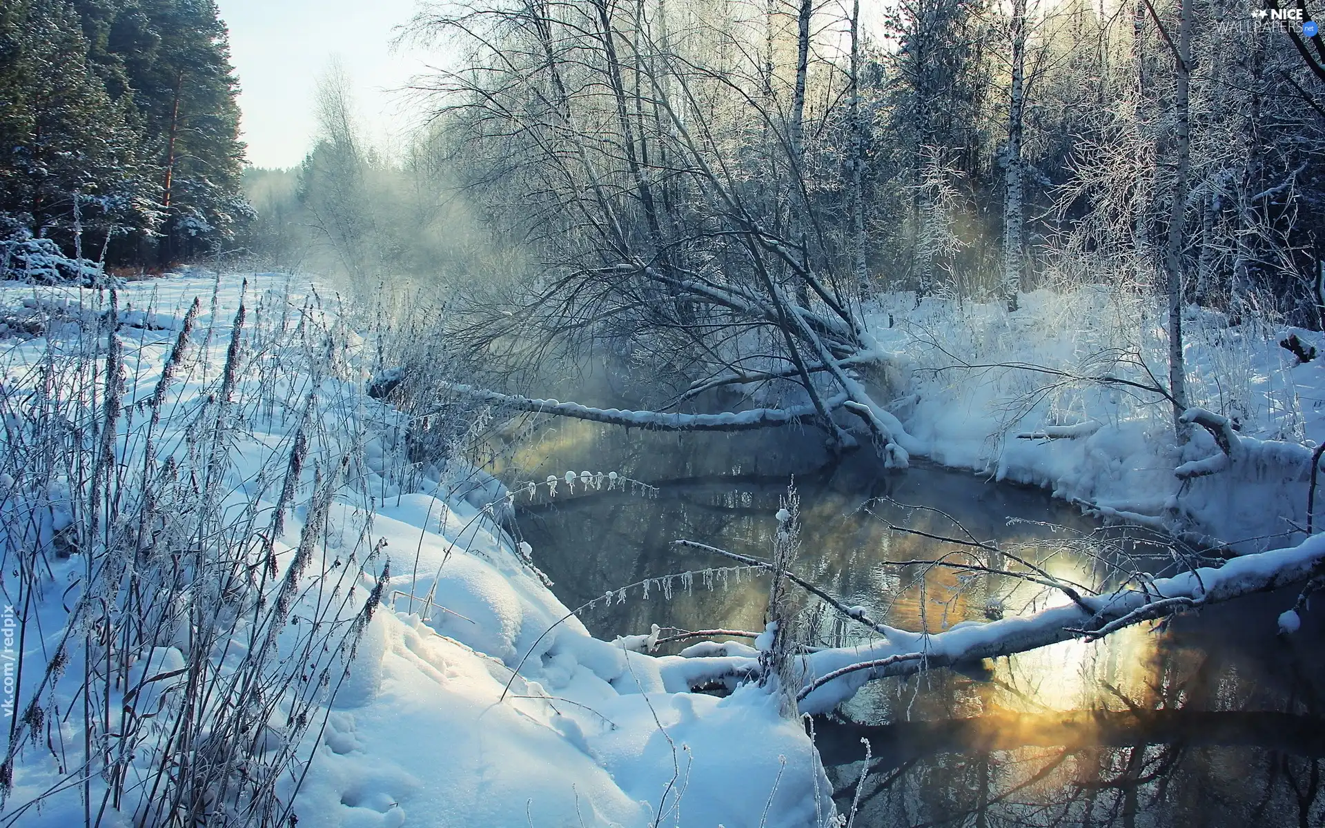 River, viewes, winter, trees