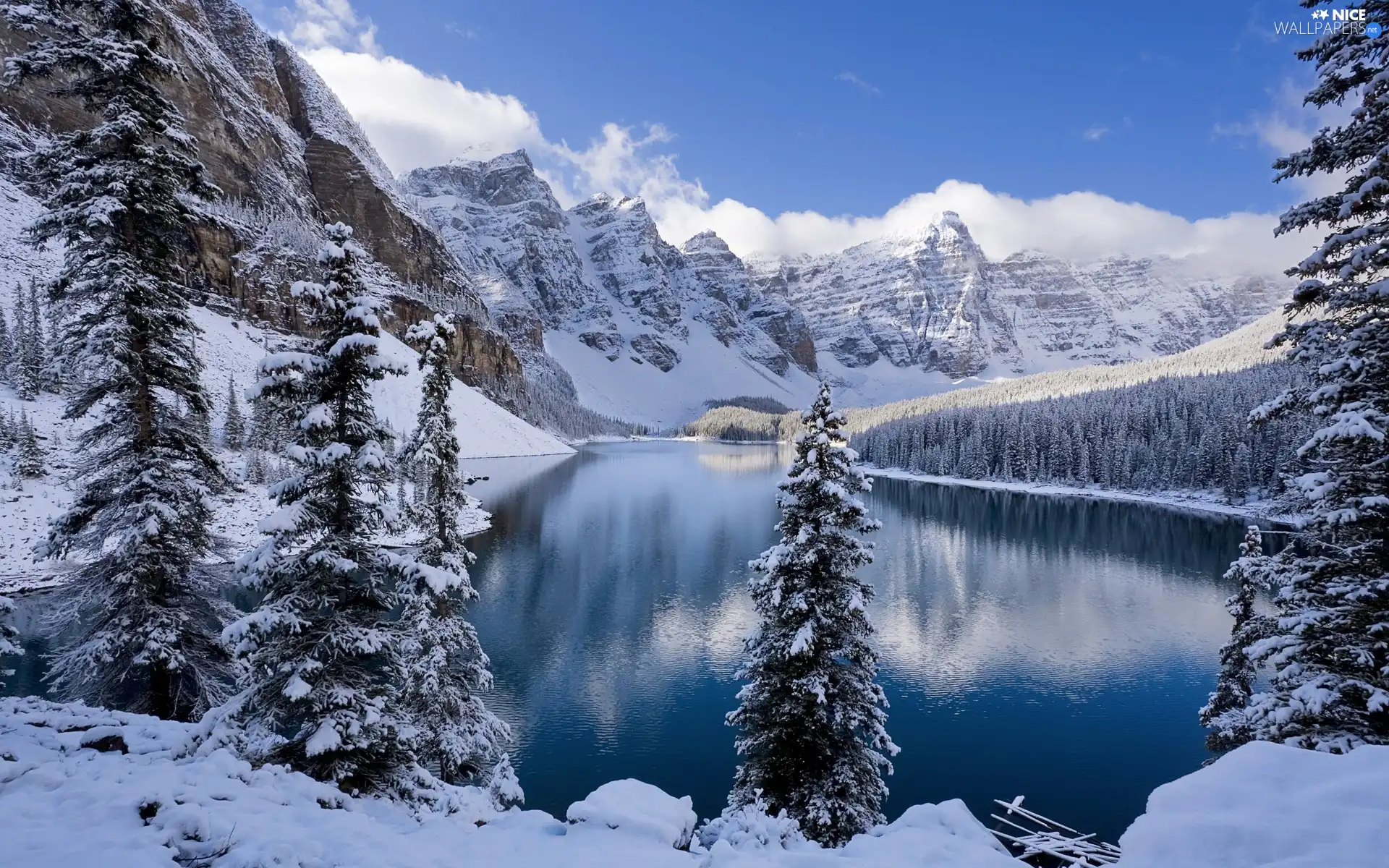 Winter, scenery, River, Spruces, Mountains