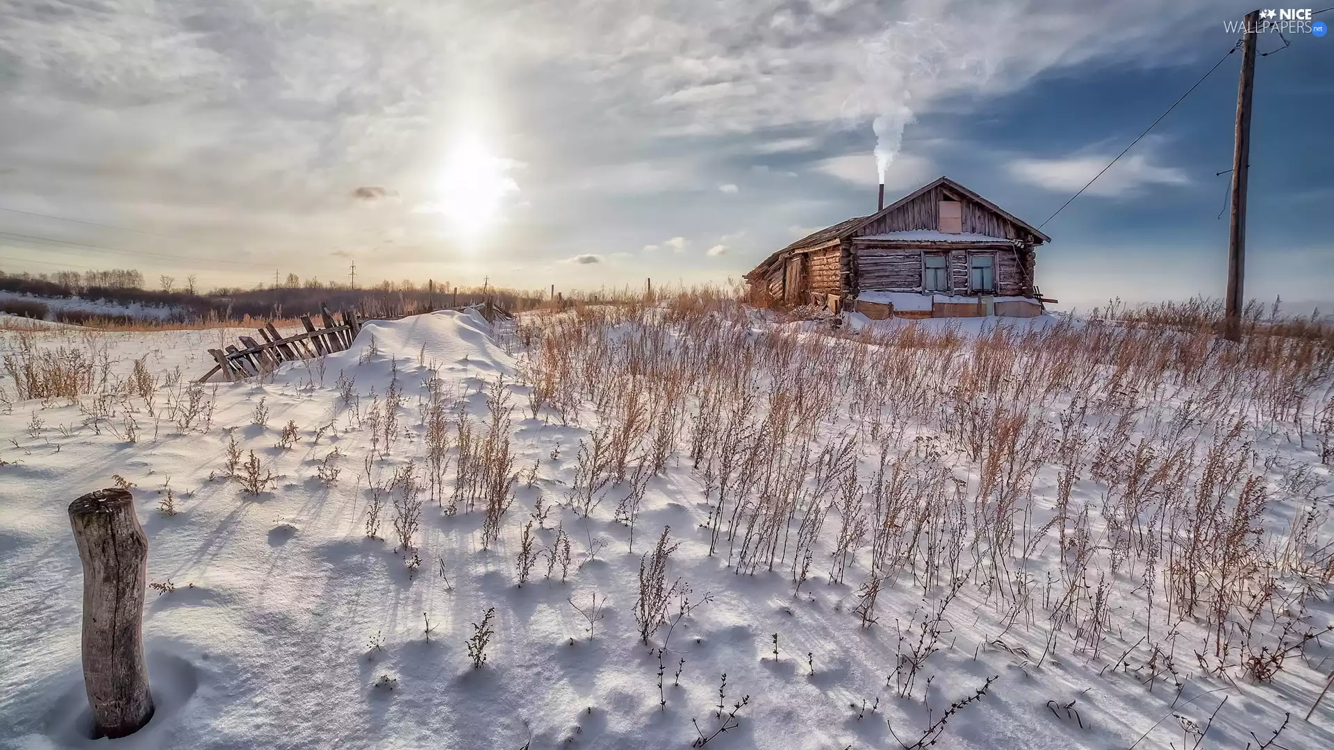 Plants, house, peg, winter, Fance, snow