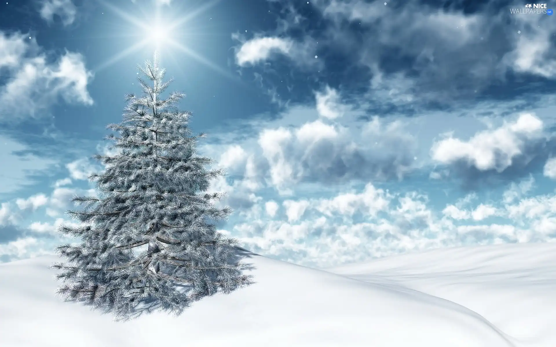 christmas tree, snow, winter, clouds