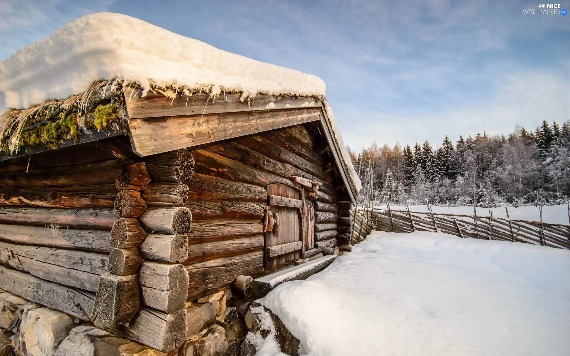 wooden, forest, winter, Home